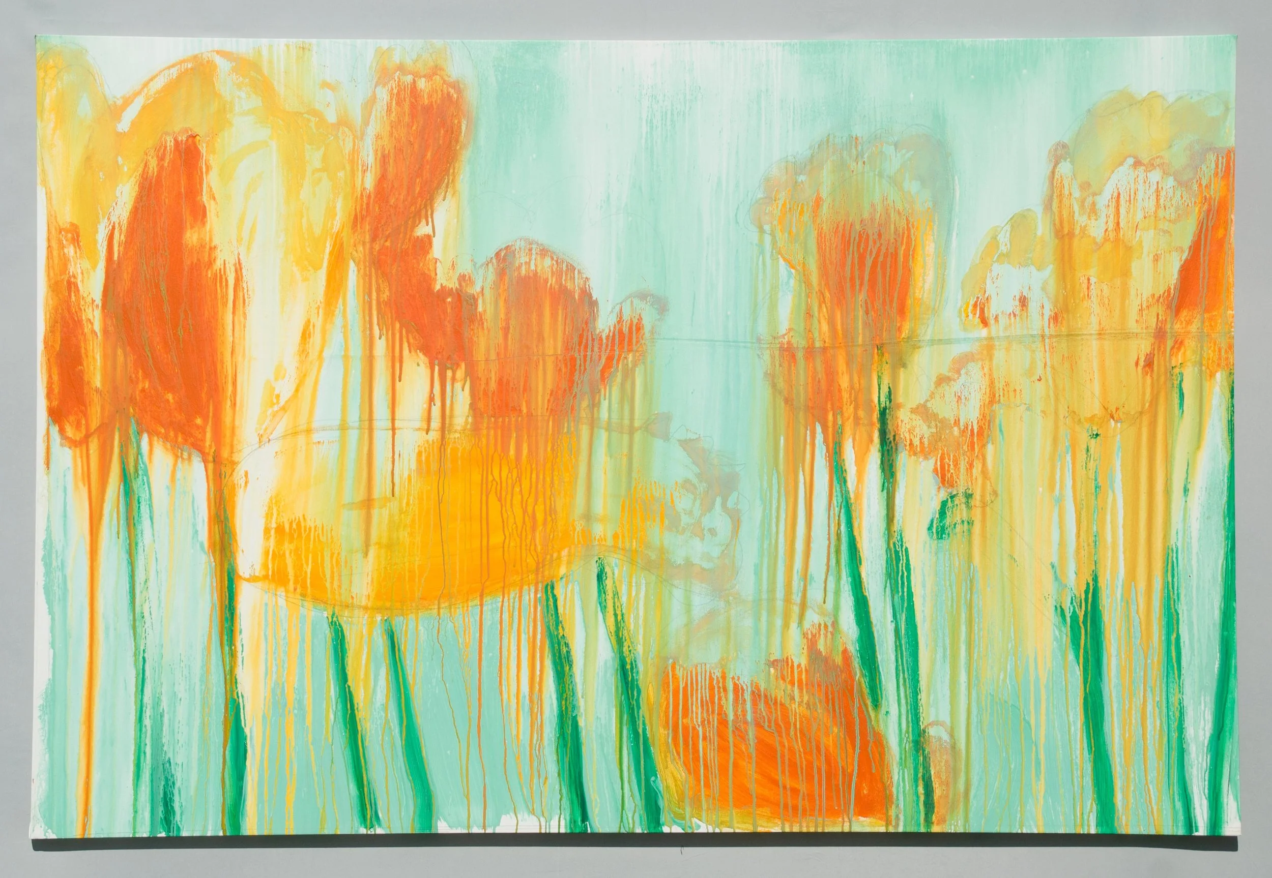 Daffodils