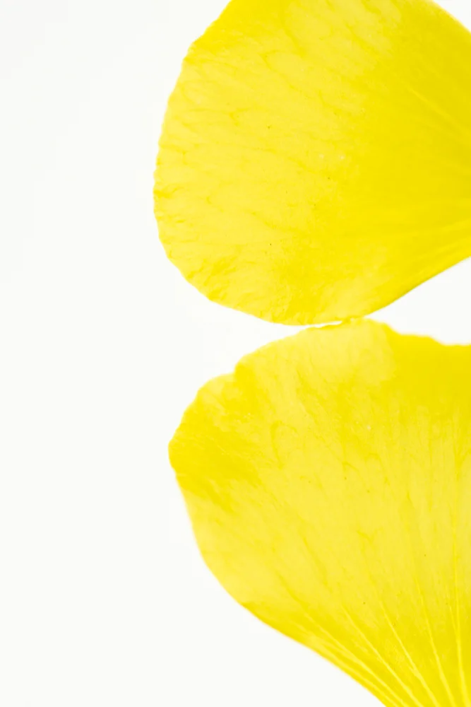 Abstract 2