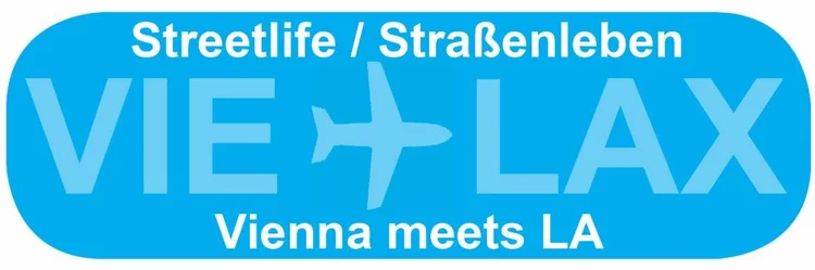 VIE LAX LOGO.jpg