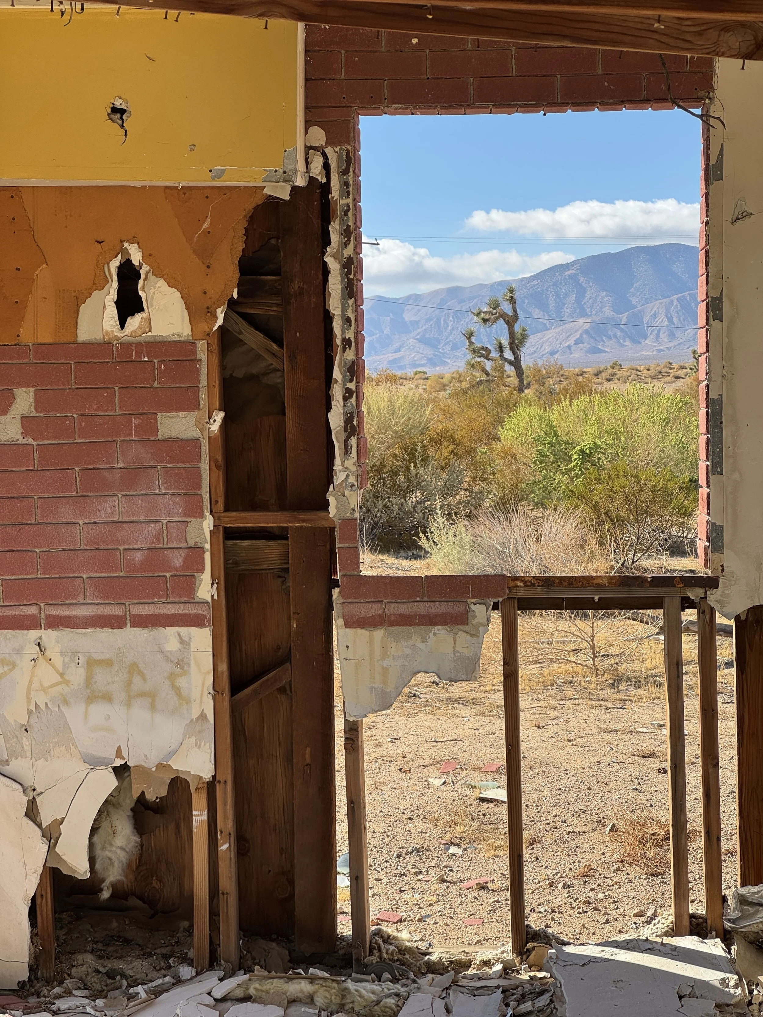 James_Gunderson_Artists Easel - accepted.JPG