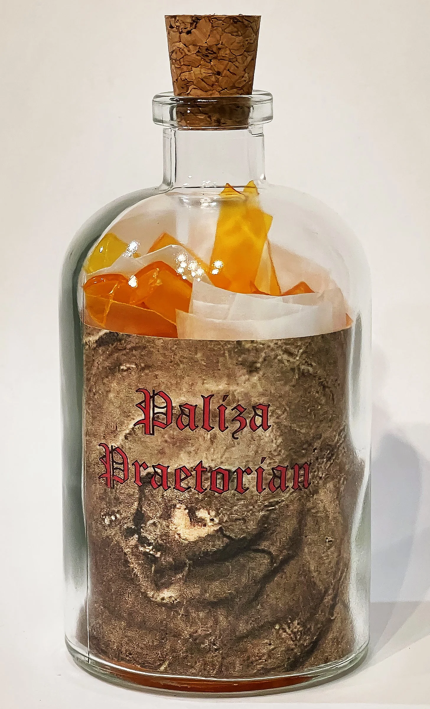 Paliza Praetorian.jpg
