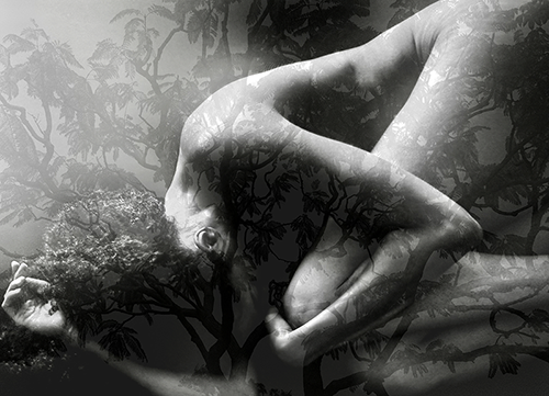 At One With Nature_6592.PNG
