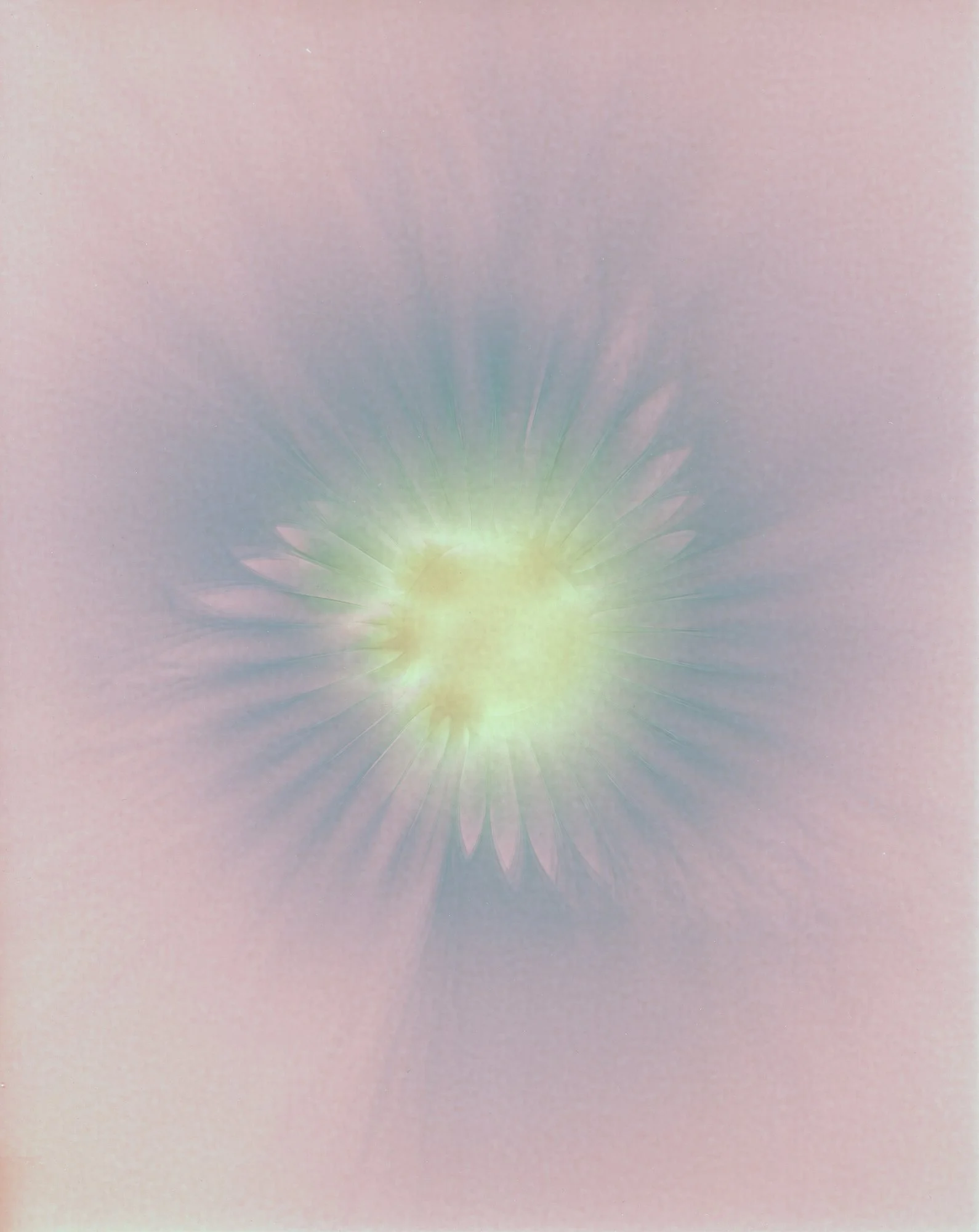 RichardSChow_Glass flower _2.jpg