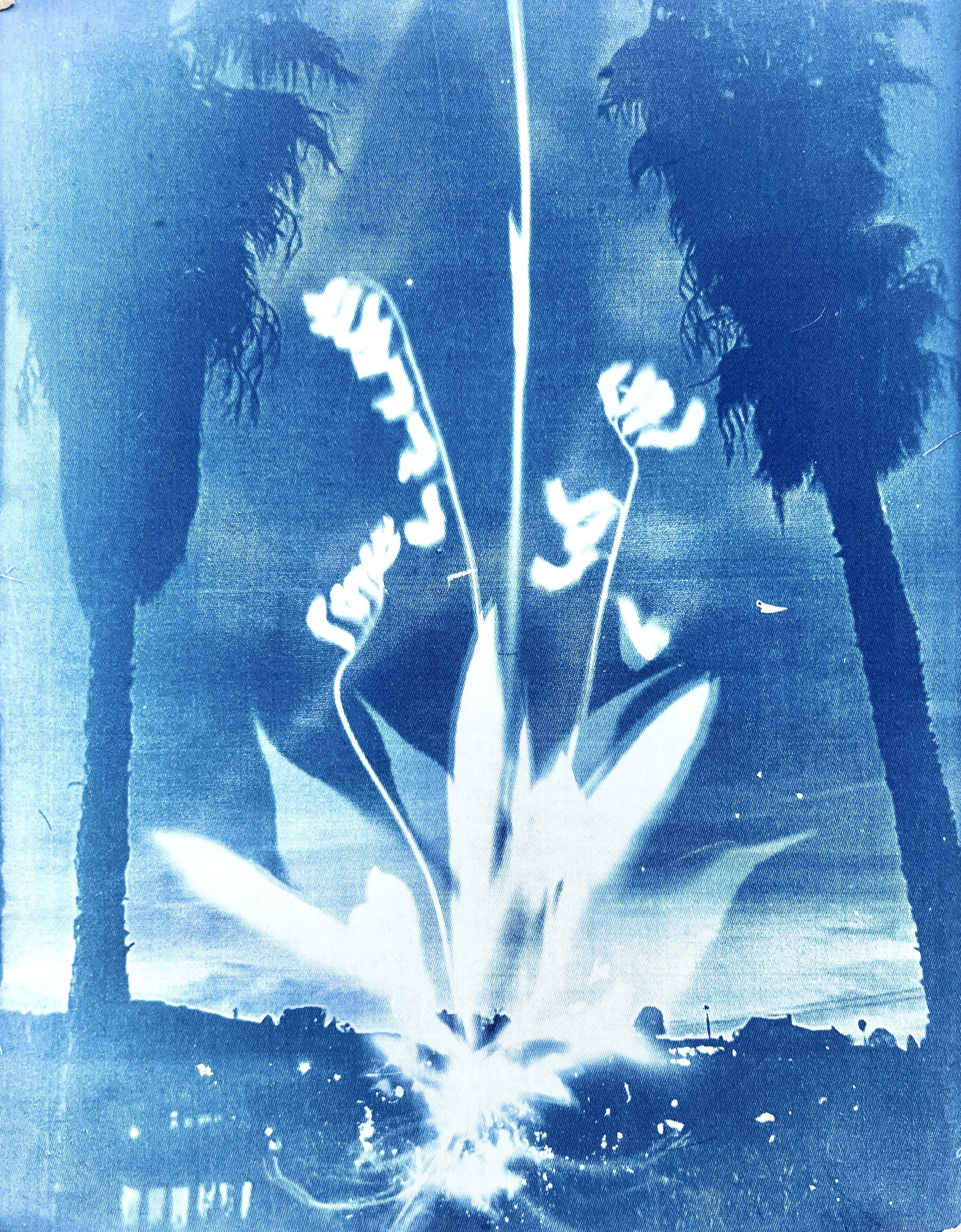 IMG_6411.jpeg (Copy)