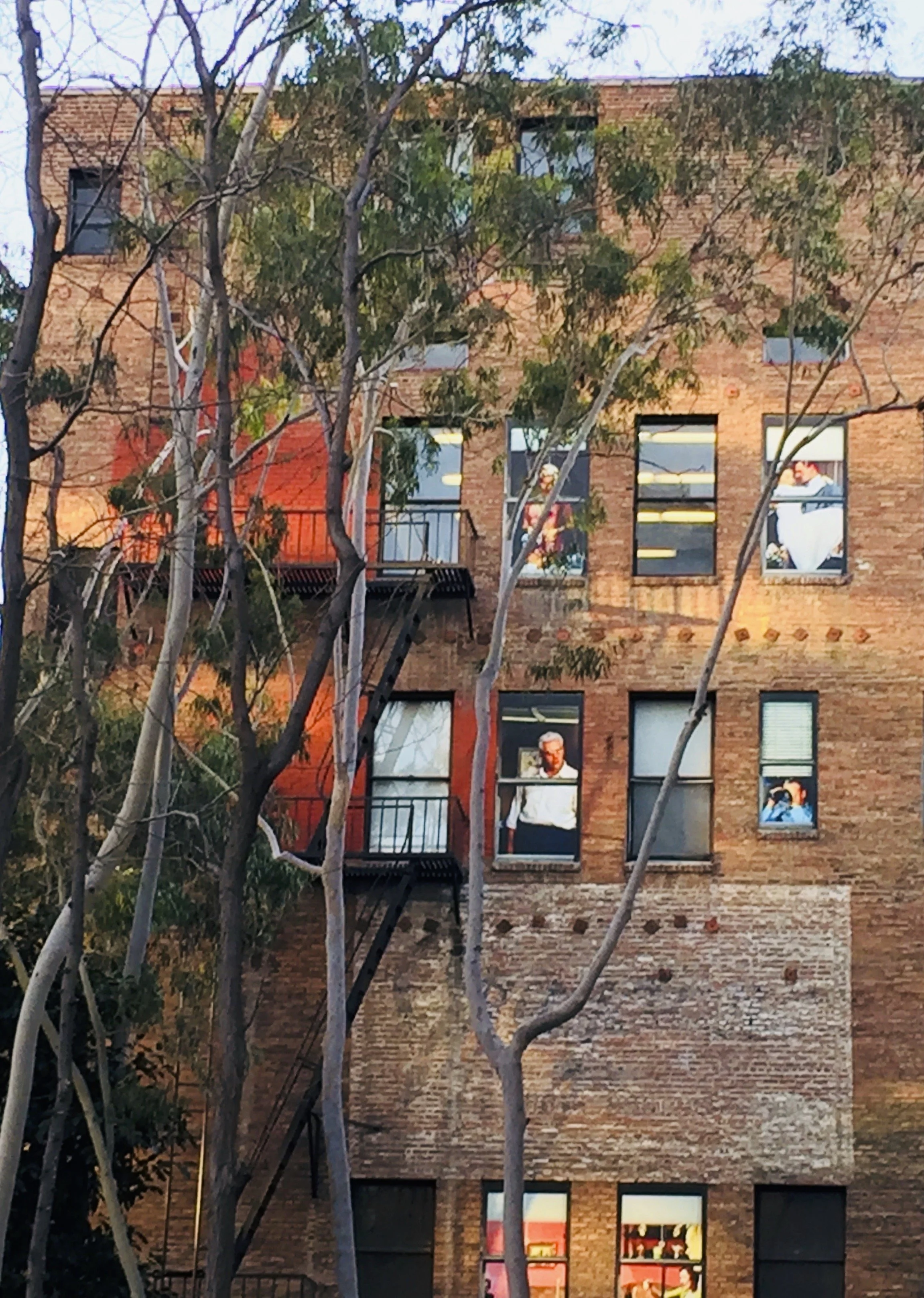 ACROSS THE COURTYARD_HALDEMAN_IMG_7831 2.jpg