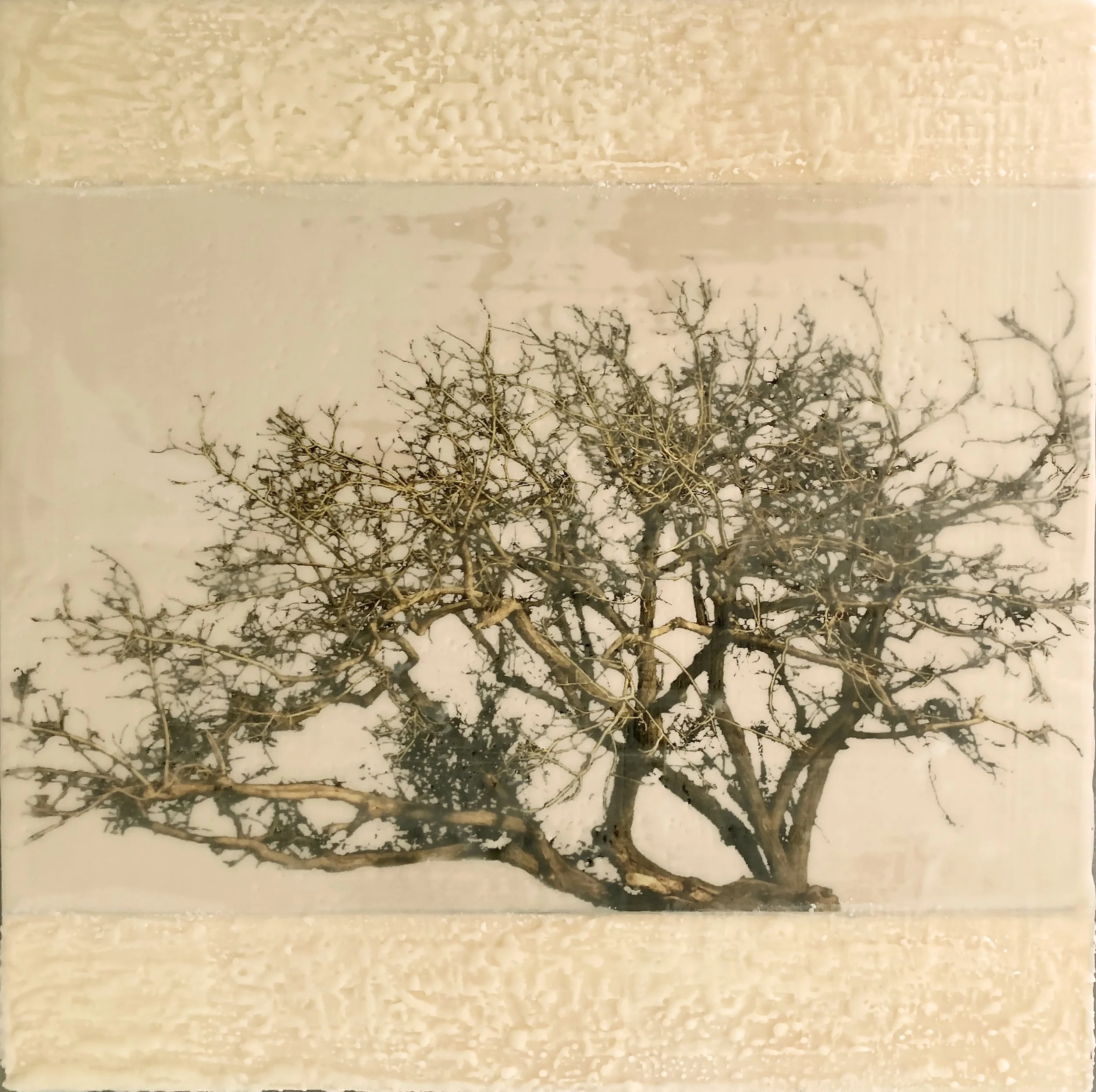 In the Neighborhood.jpg