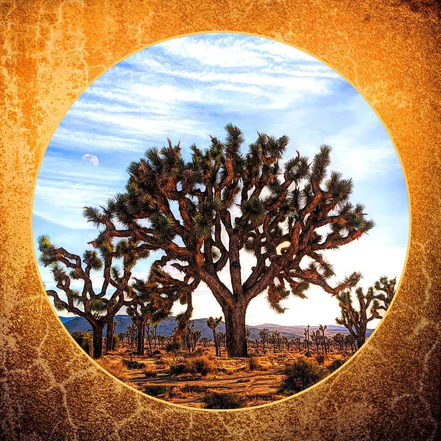 A Tenuous Future.jpg