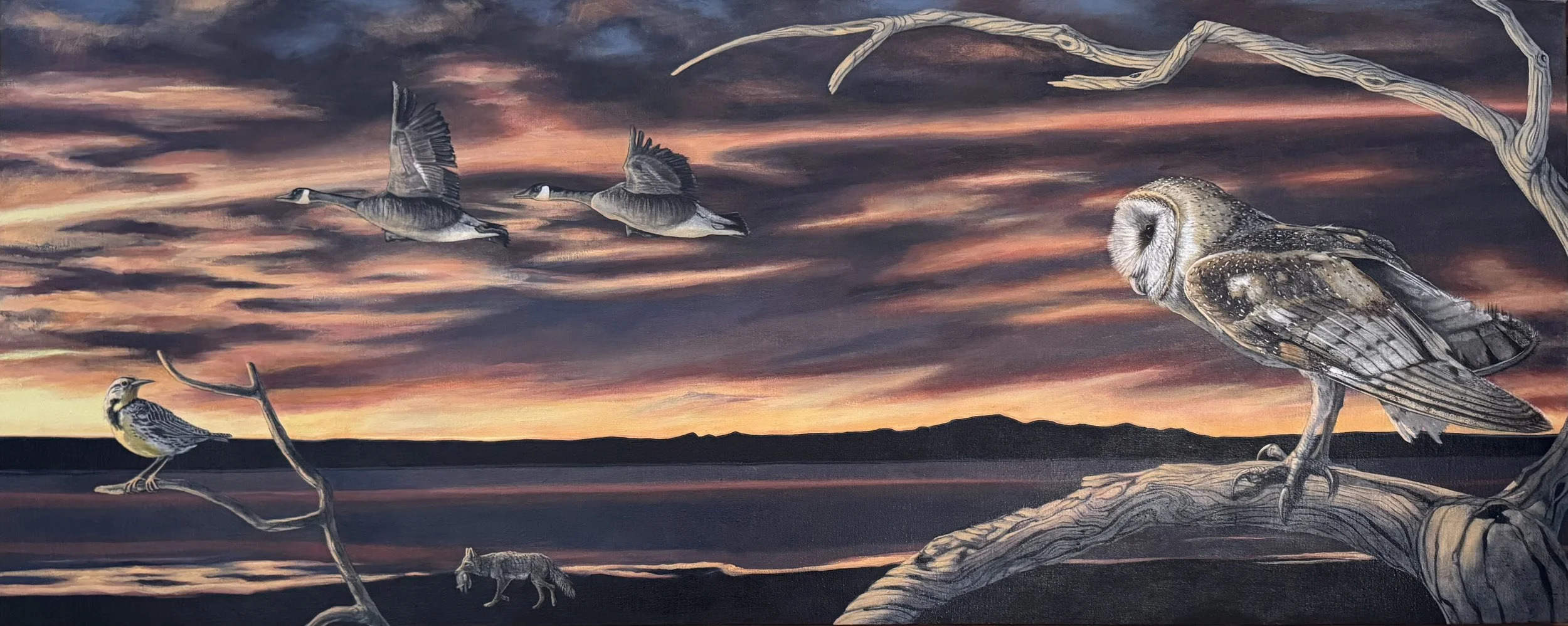 SUNRISE AT SUMMERLAKE_Acrylic on Linen, 24_ x 60_ (2026).jpeg