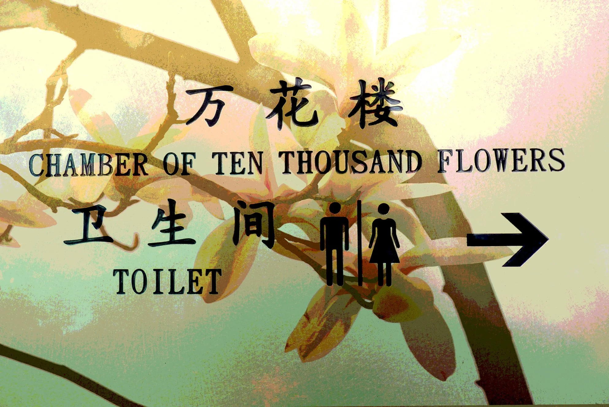 Chamber of 10,000 Flowers.jpg