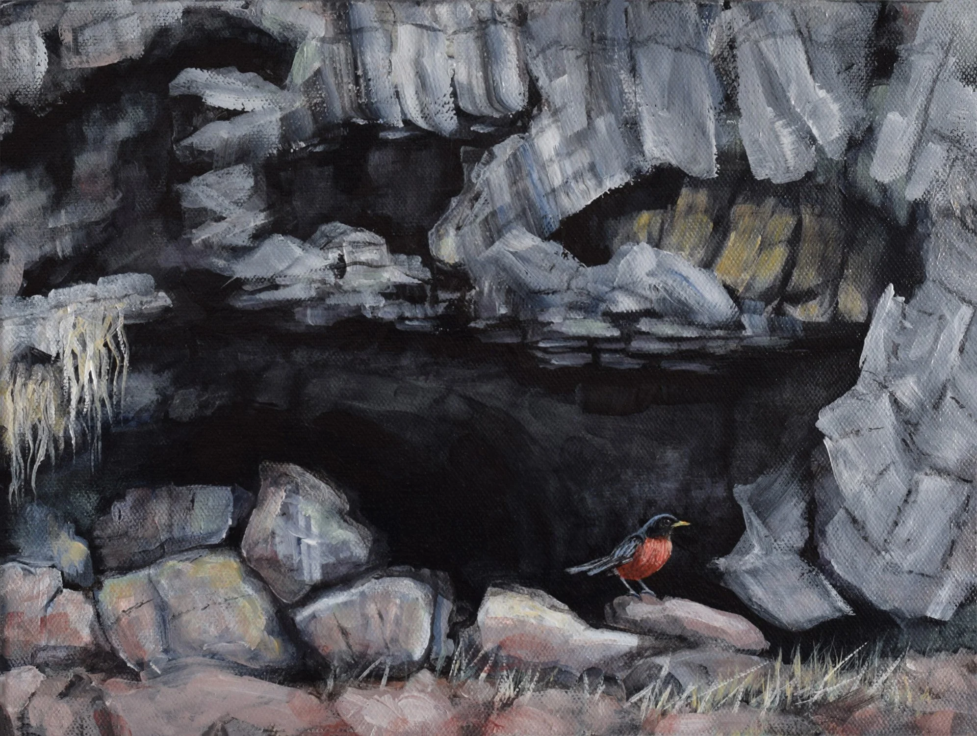 PAISLEY CAVE I, Robin_Acrylic on canvas_9_ x 12_ (2025)..jpg