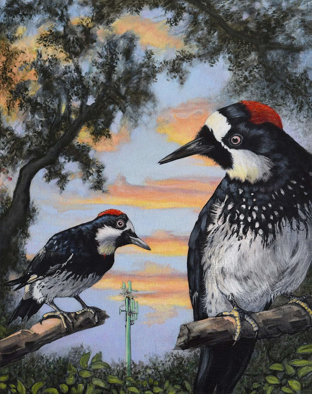 WOODPECKERS AT SUNSET_Acrylic on Canvas_20_ x 16_ (2025).jpg