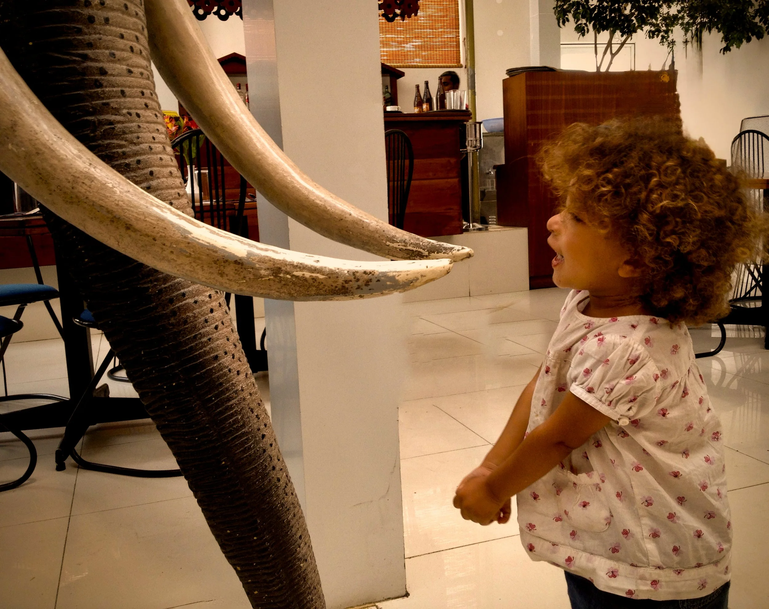 1EB080F6-C313-4B08-8288-DE74926E29AE.jpeg