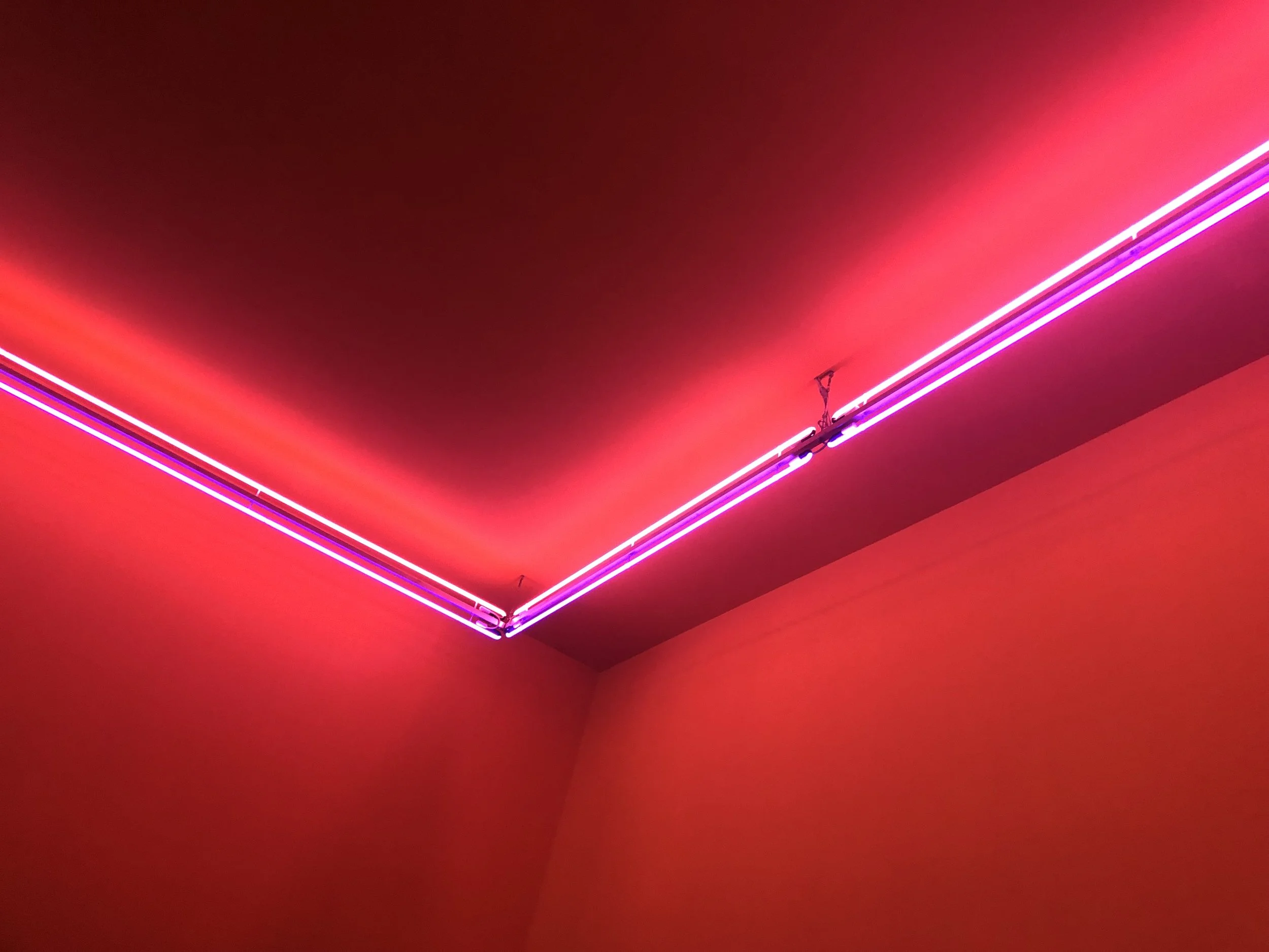 Miriam_Schulman_Cheap Hotel.jpeg