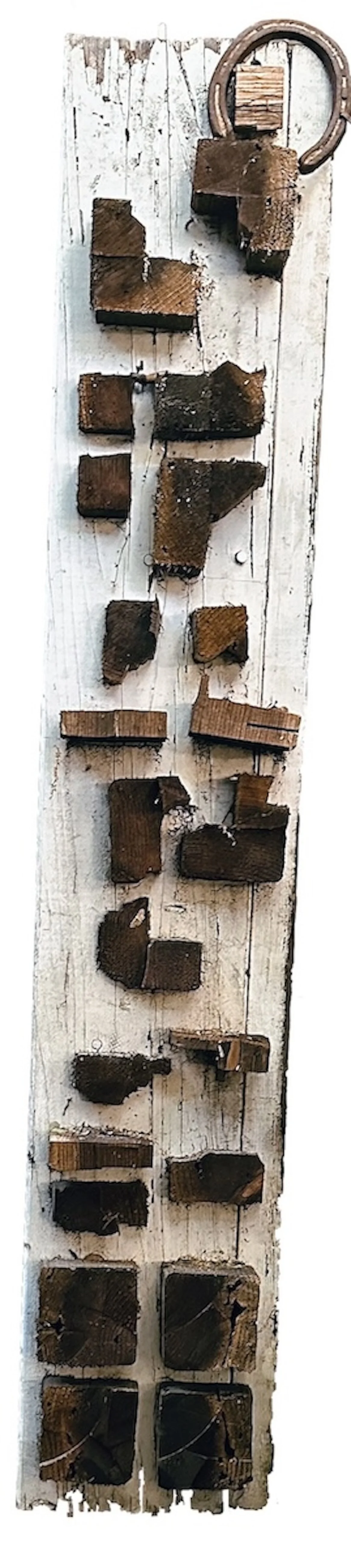 séraphine_kids, this was once a redwood tree_6817.jpg