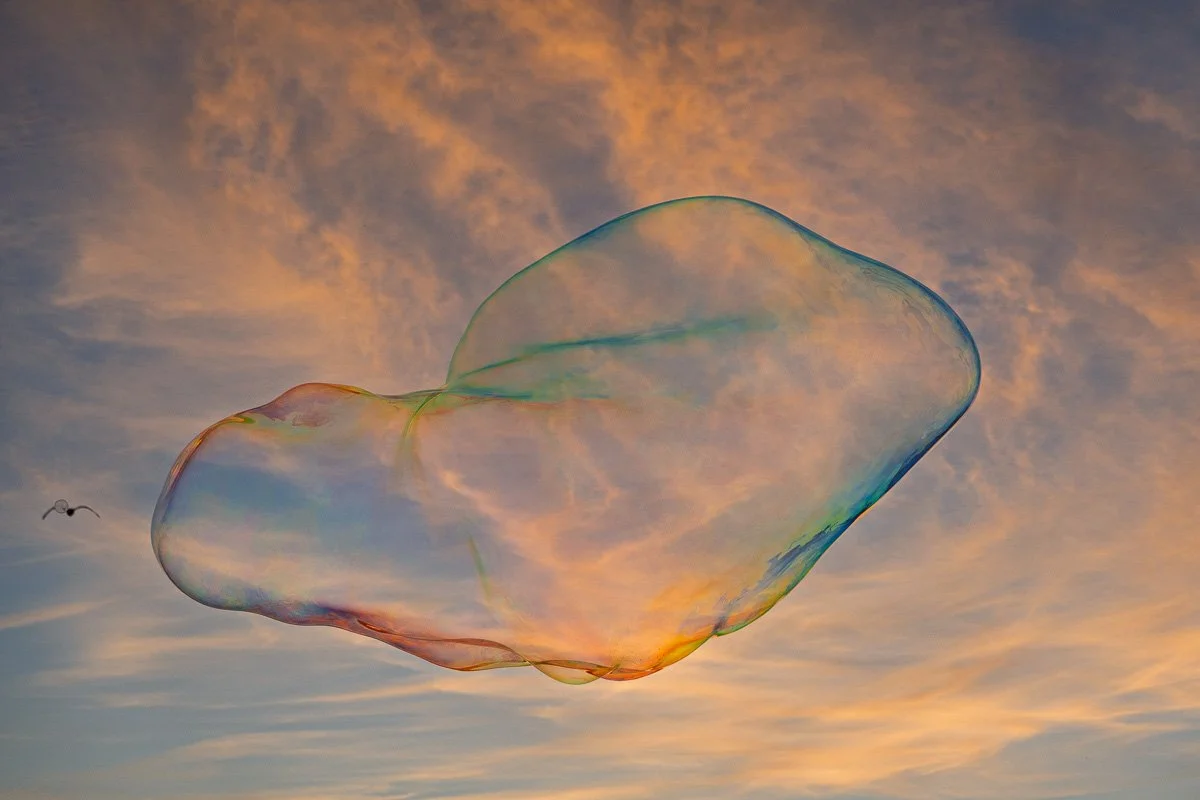 Saint John, New Brunswick.jpg