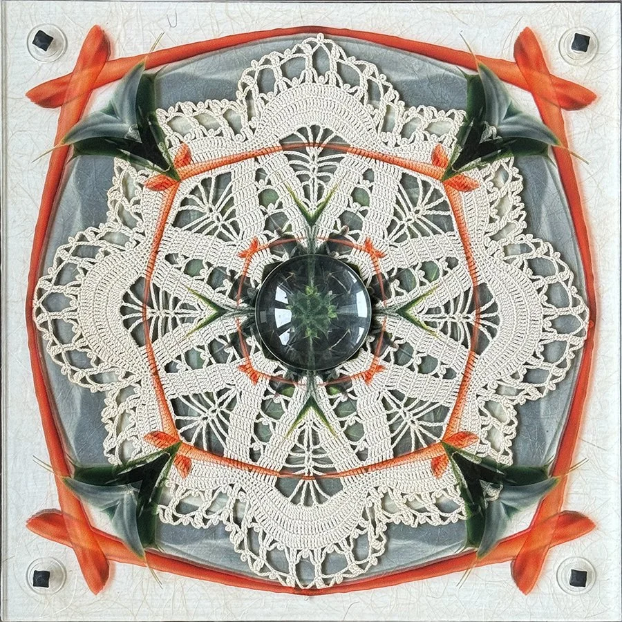 Agave Solstice with Sarah's Eight.jpg