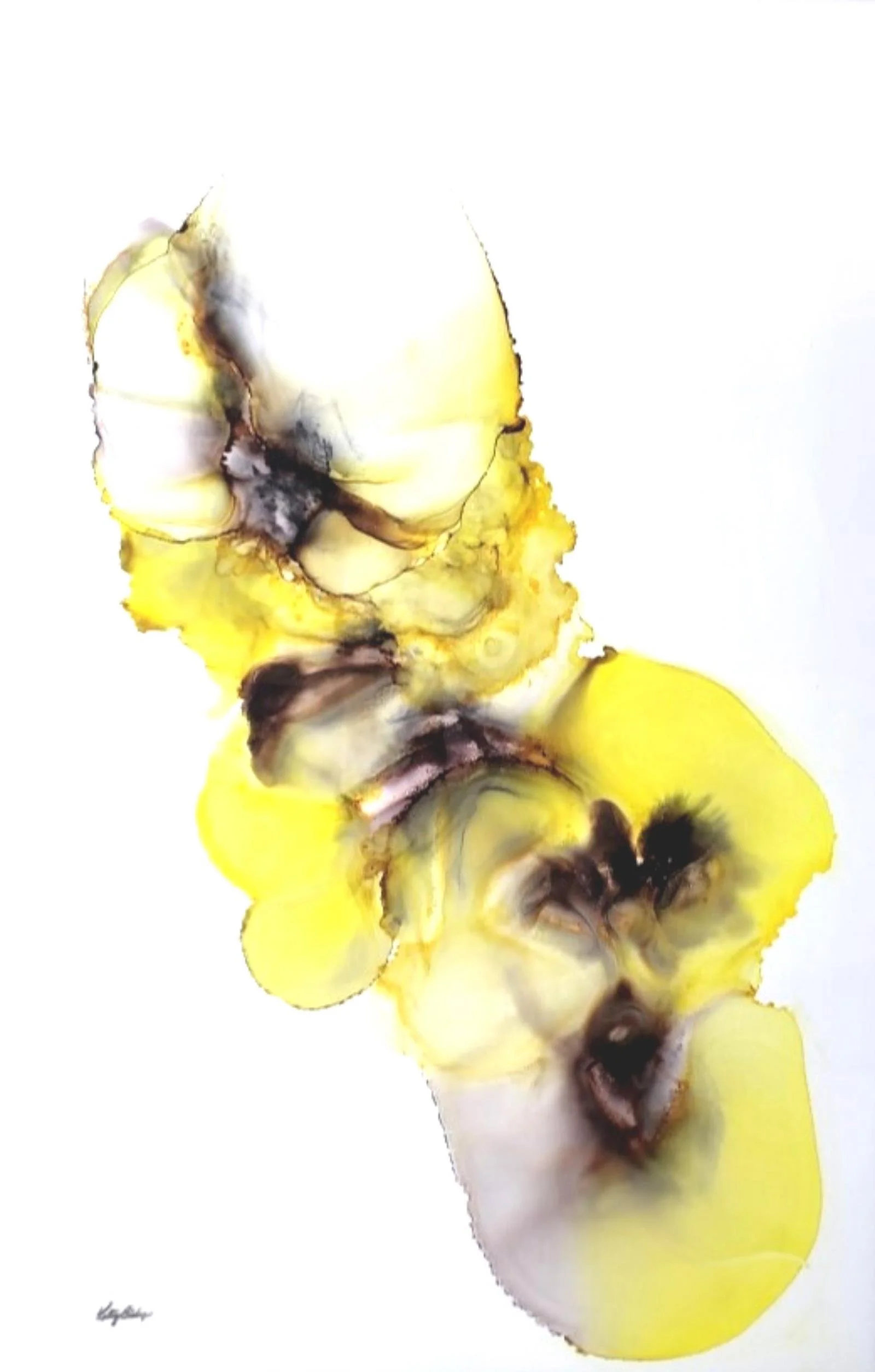 Katy Bishop _PANSIES (1).jpg