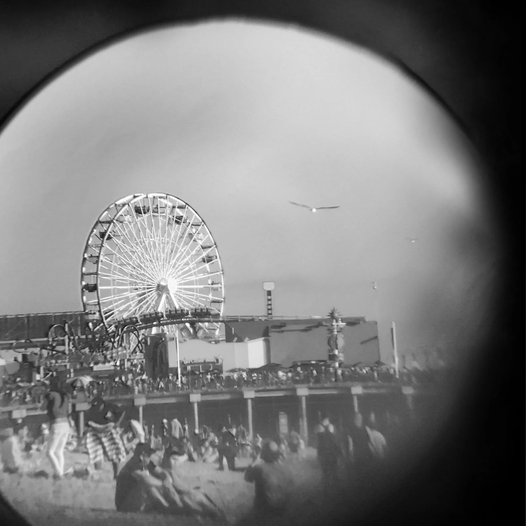 RichardSChow_Santa Monica.jpg