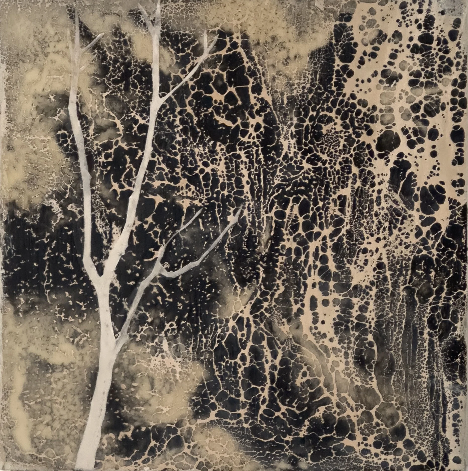 Beyond the Curtains 12x12 1000 .jpg