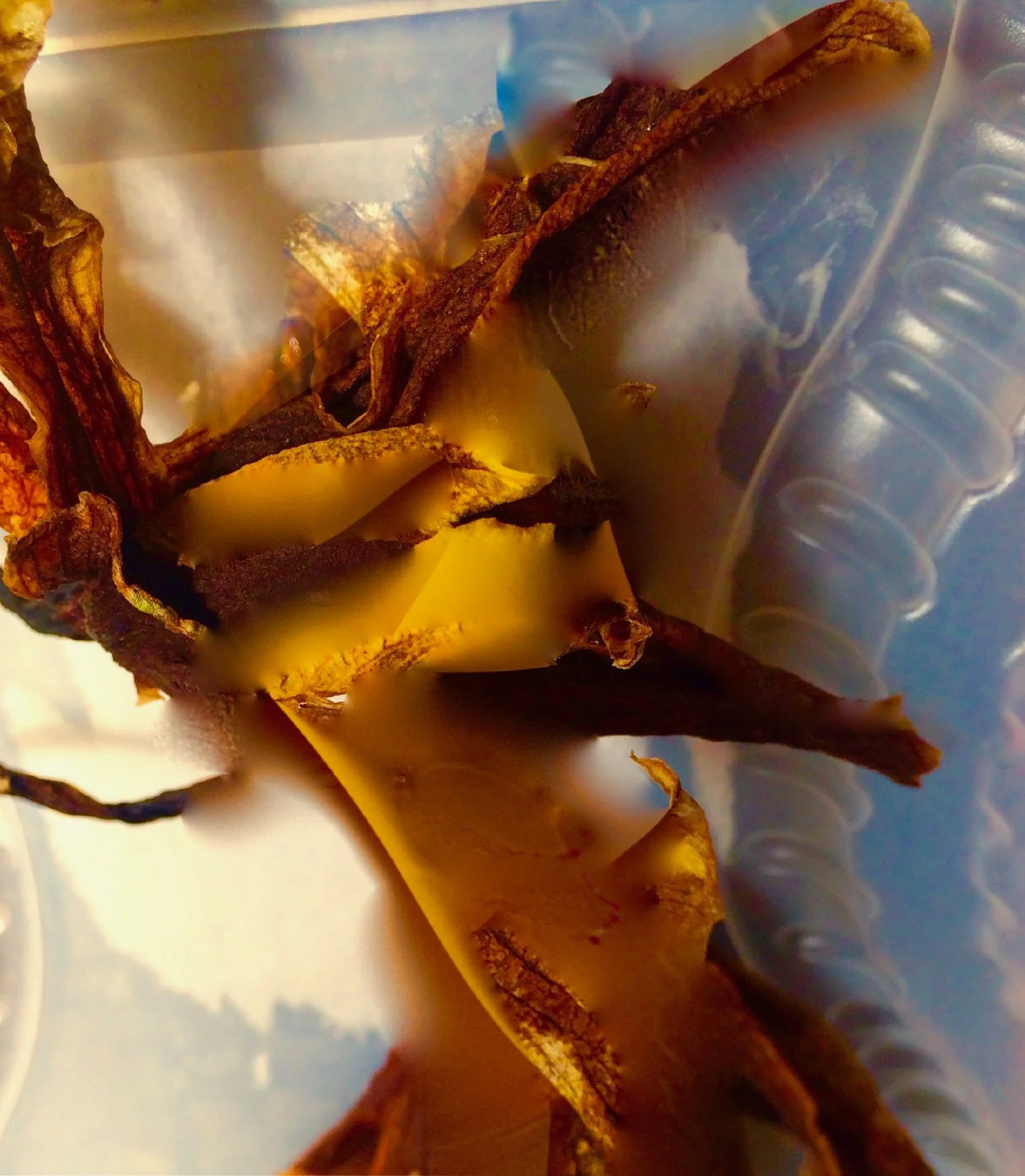 Screenshot 2018-03-27 23.21.44.jpeg