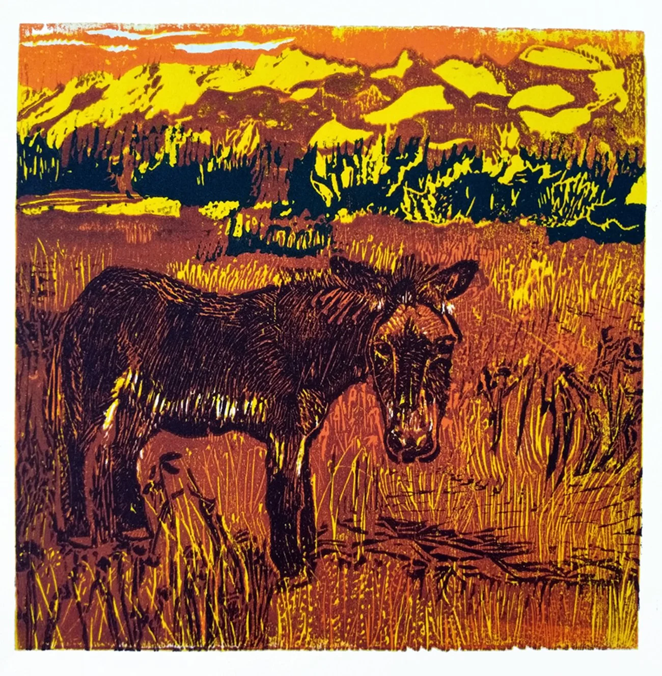 1. Desert Sunset, 10_x10_ jpg.jpg