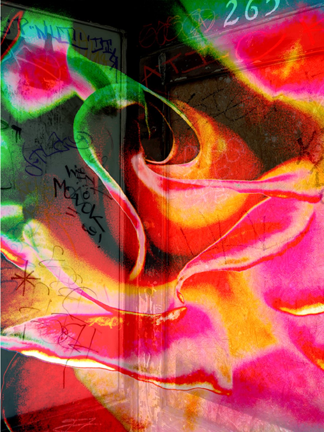 Graffiti Rose.jpg