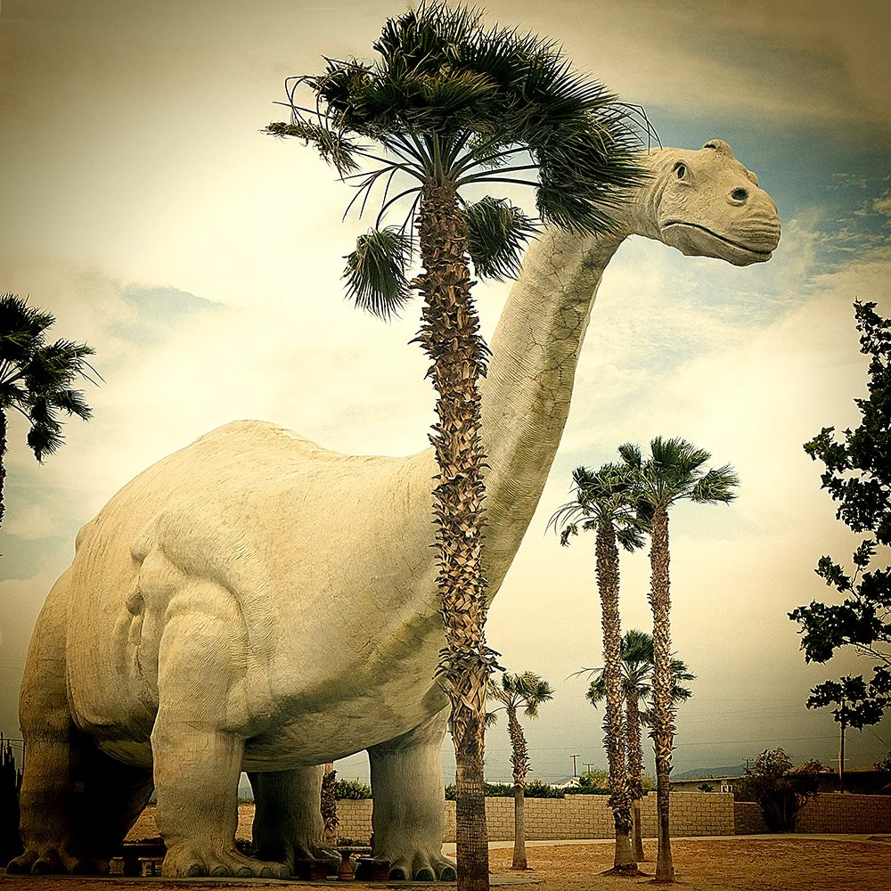 Desert Dino 2.jpg