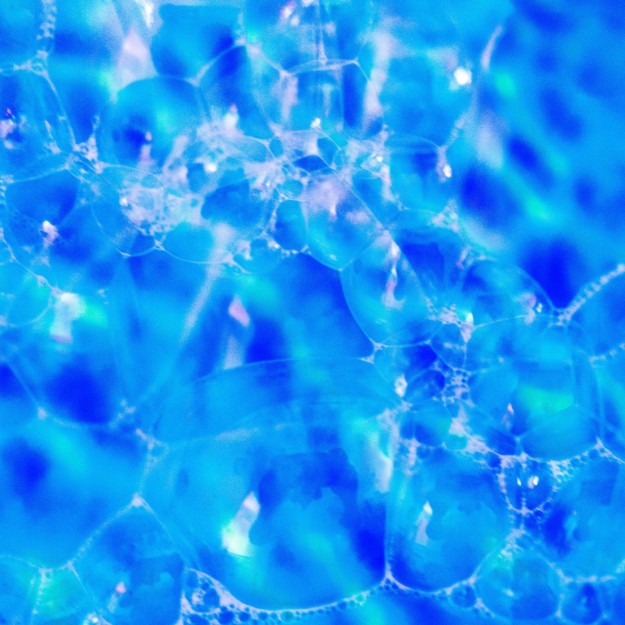 The Tides That Wove Rainbows.jpg