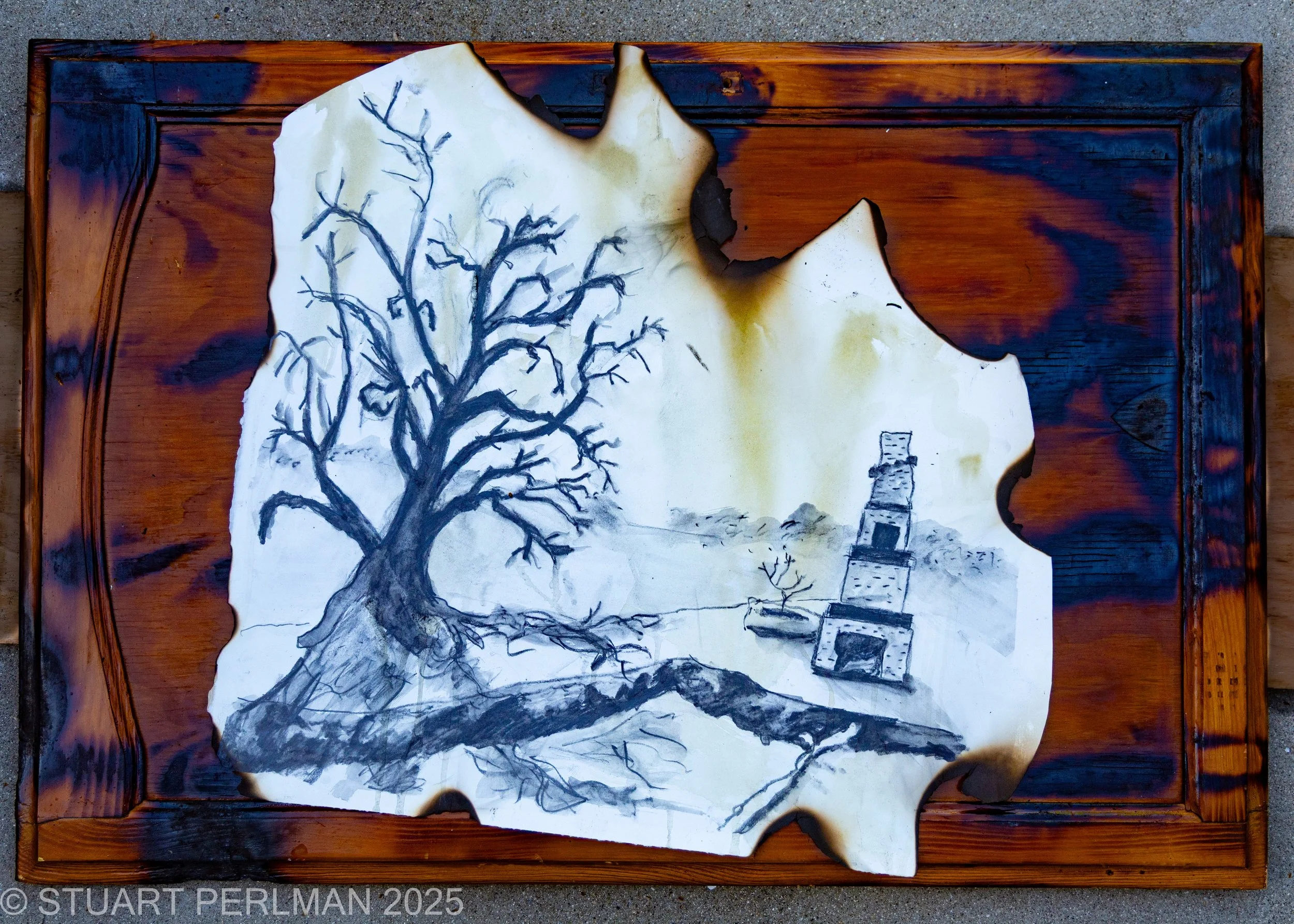 Perlman Pacific Palisades Fire Will Rogers Park 2 smaller .jpg