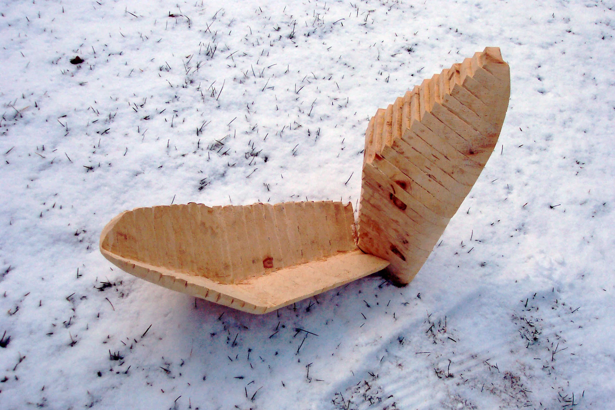 7-Lotus Fragments.jpg