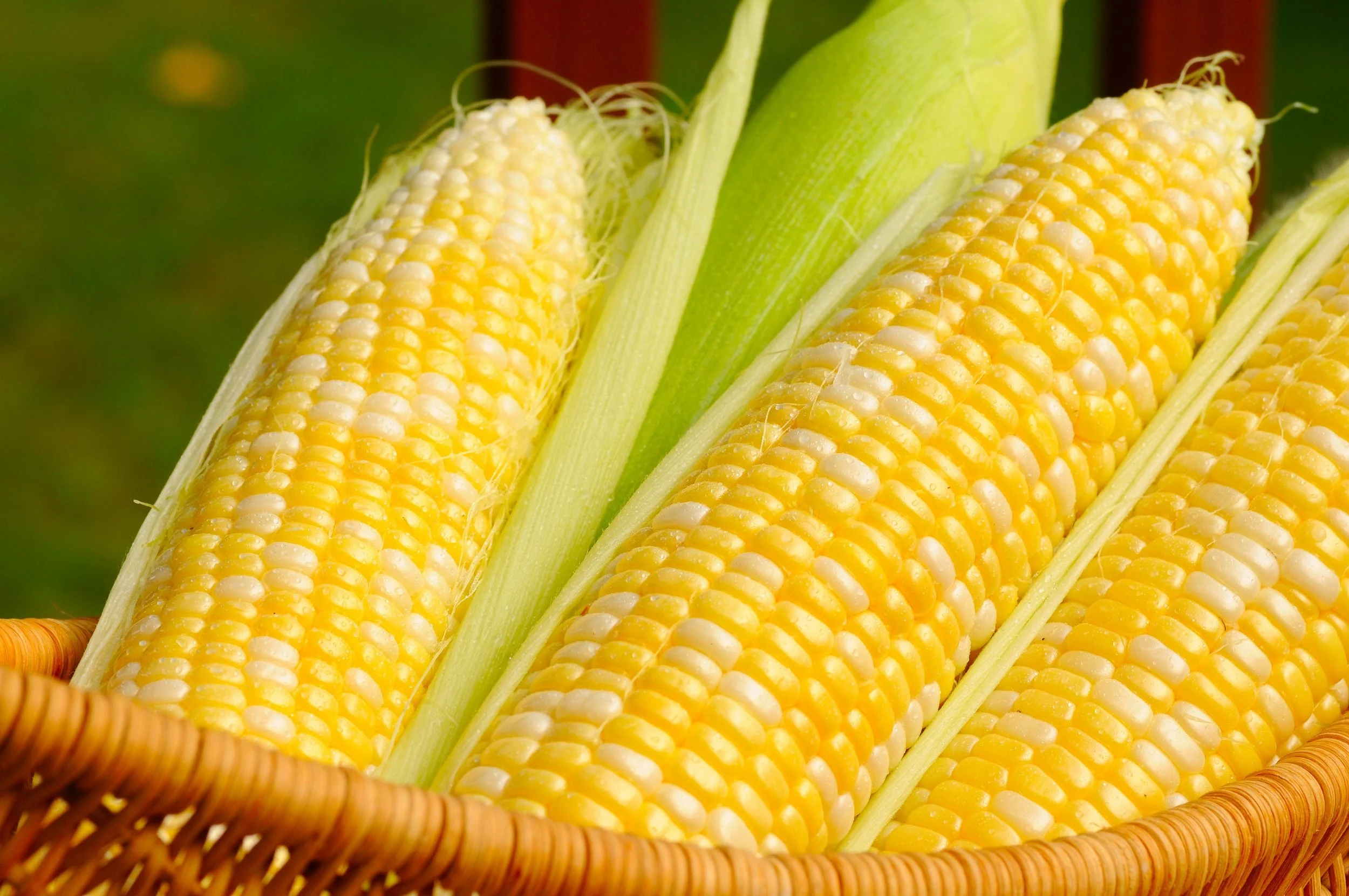 Fountain Hills Sweet Corn Market 8am-11:30am