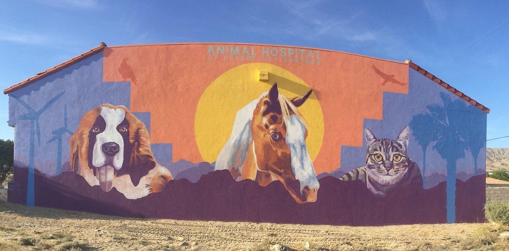 4. Desert Humane Society copy.jpeg