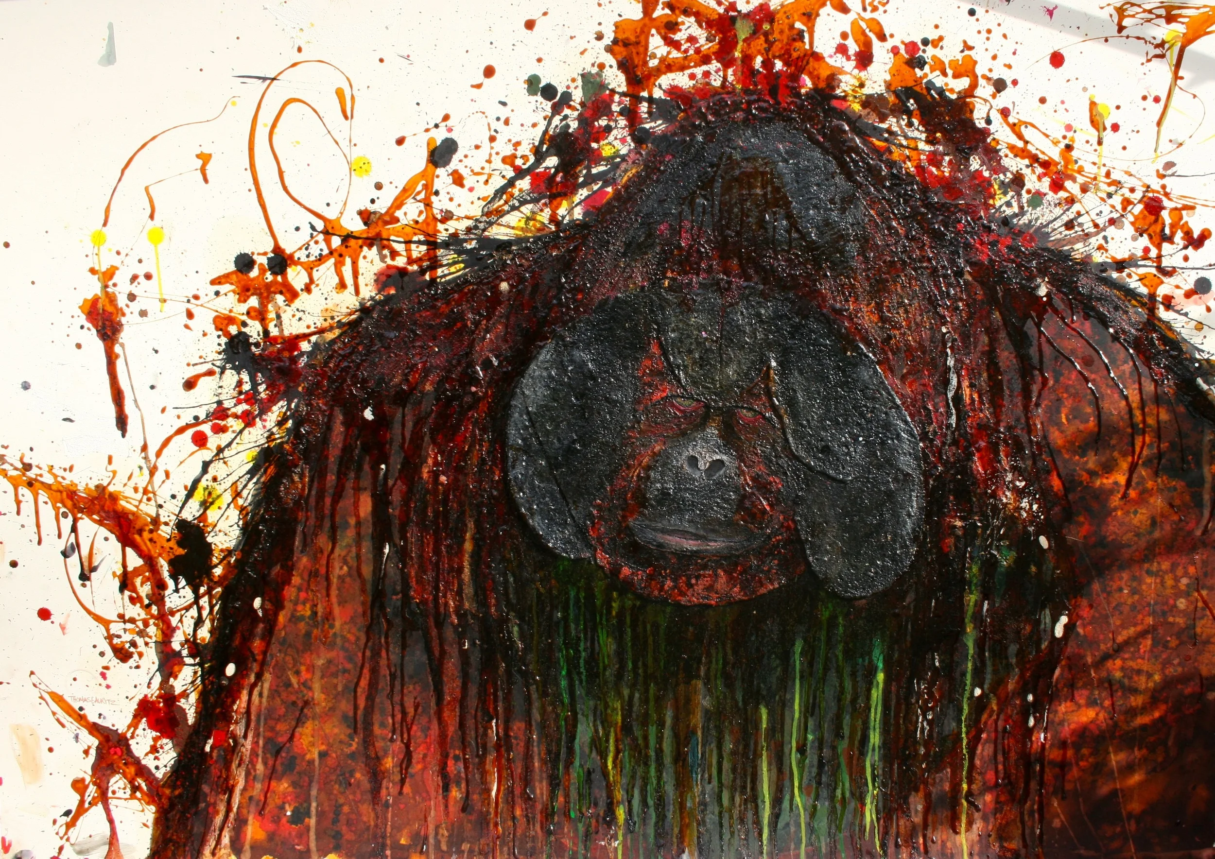Thomas Lauritz - Orangutang 2013 01.JPG