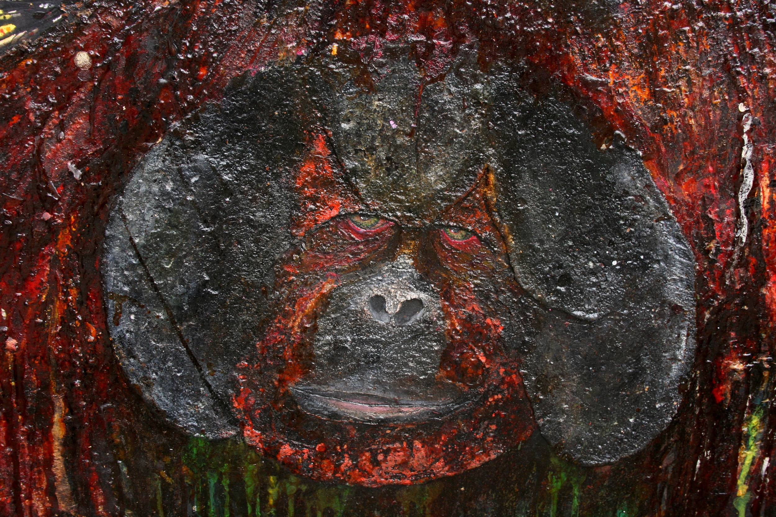 Thomas Lauritz - Orangutang clouser up 03.JPG