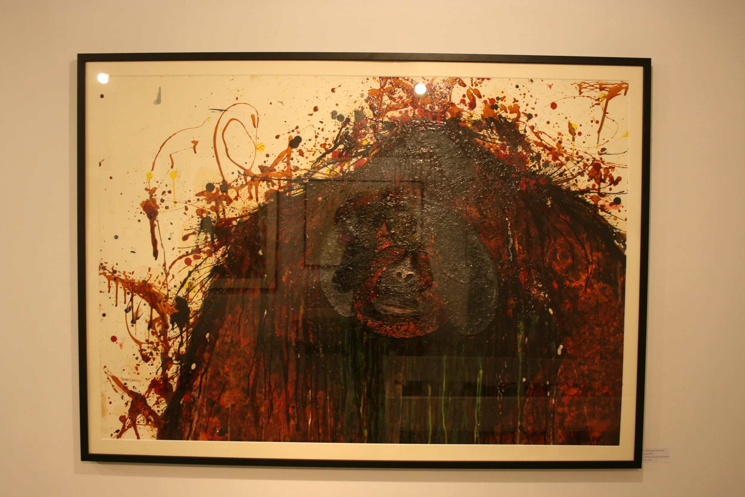 Orangutang - thomas lauritz 2013.JPG