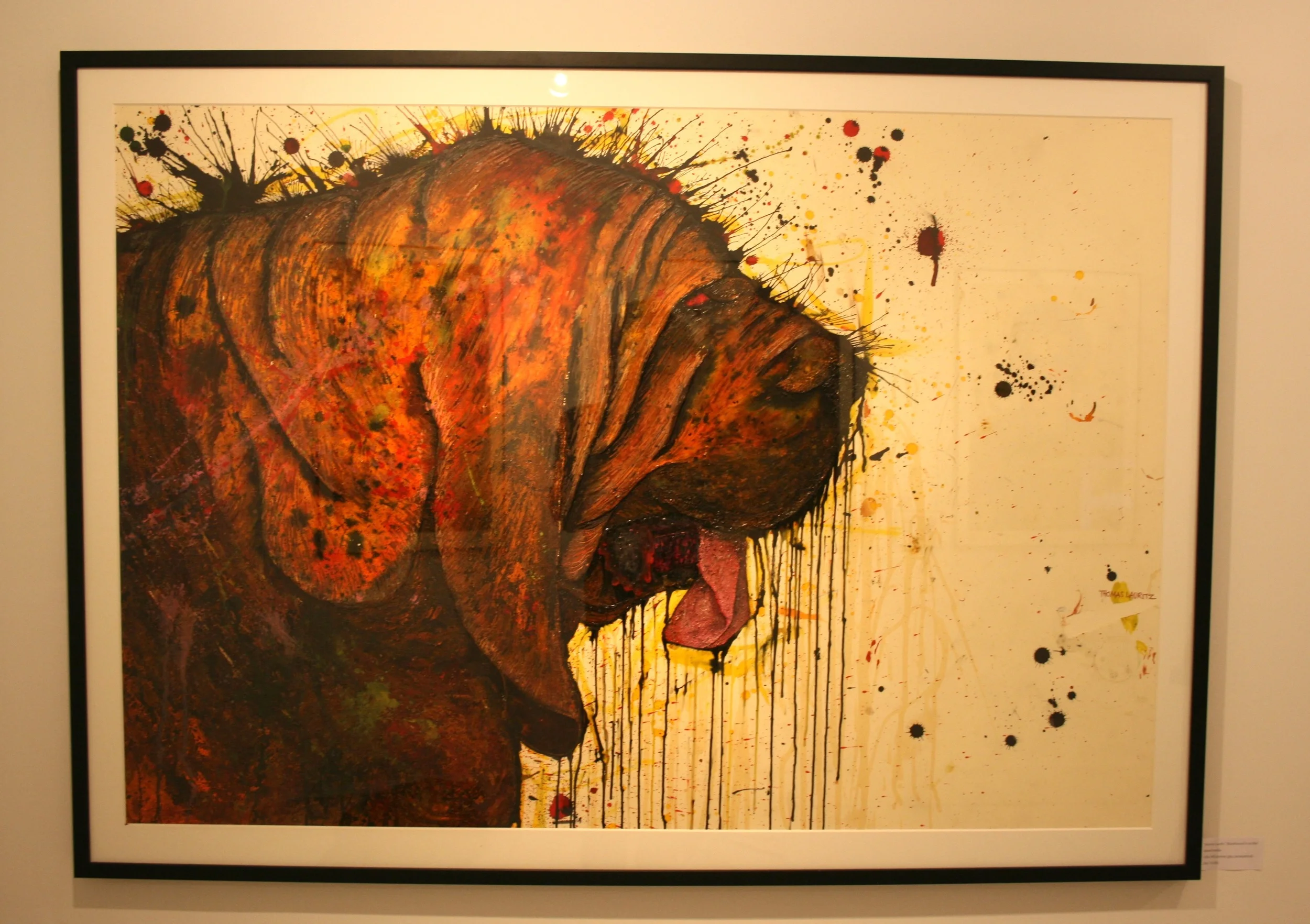 bloodhound in profile - thomas lauritz.JPG