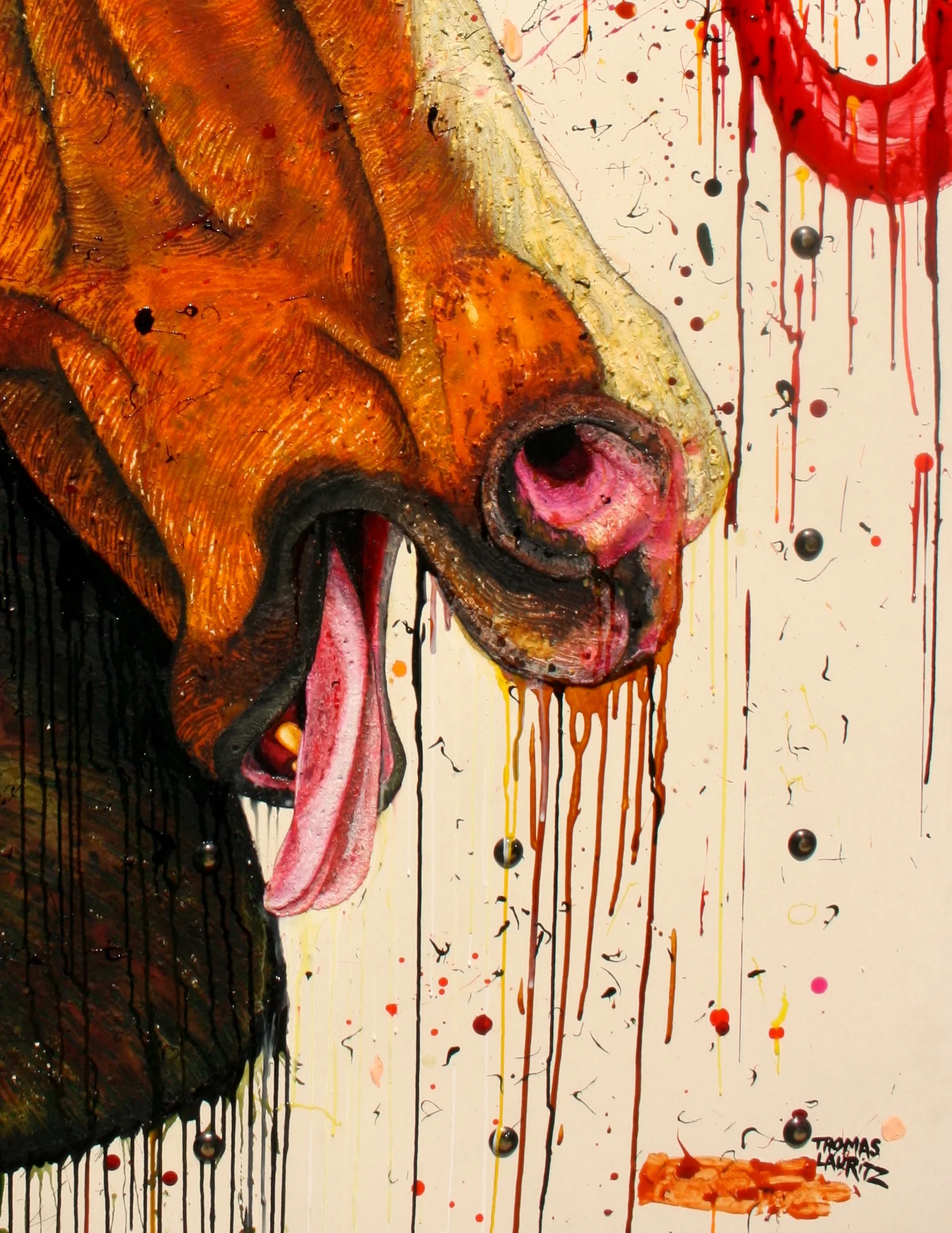 Thomas Lauritz - closeup___jpeg.jpeg