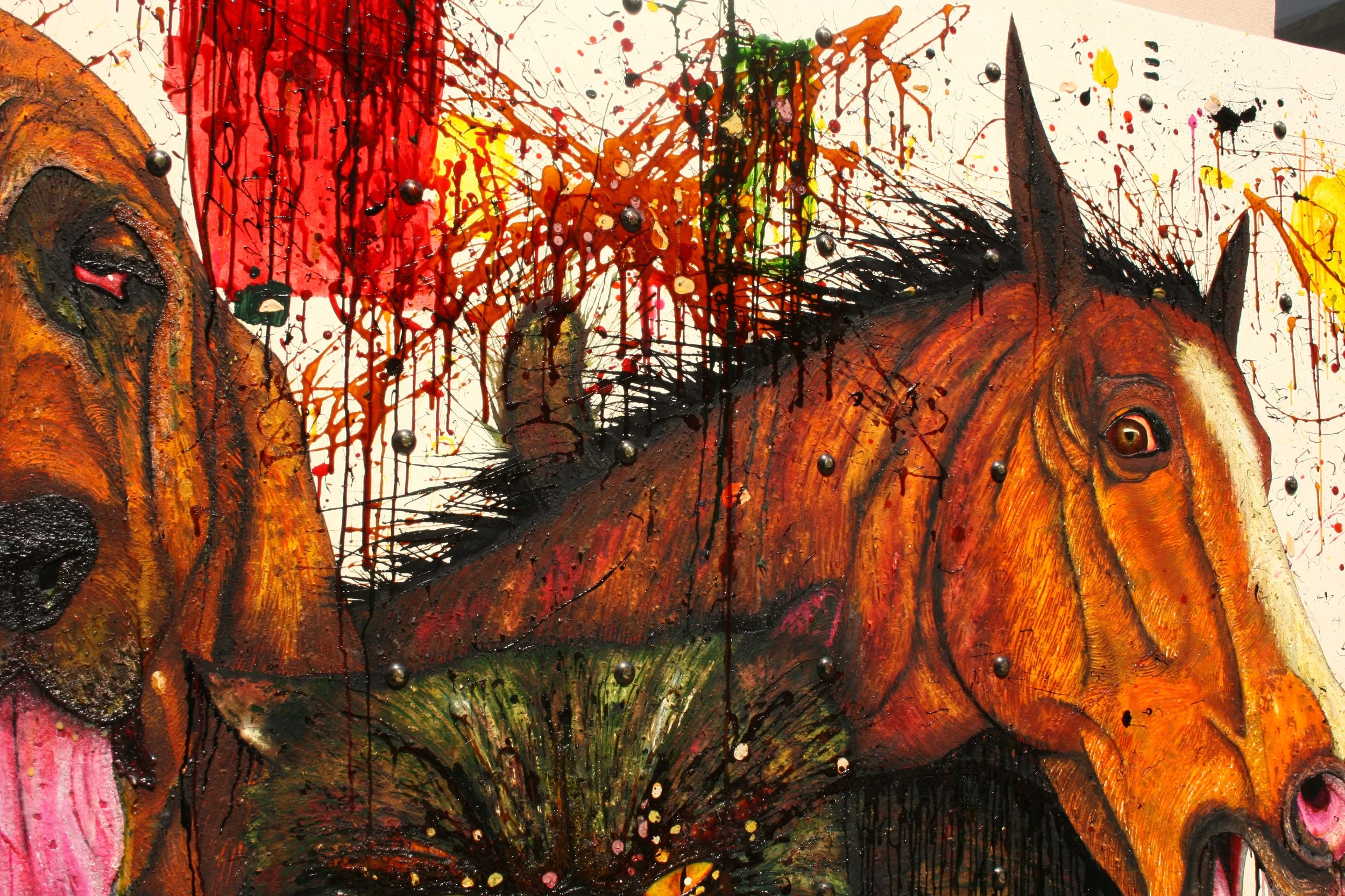 THomas Lauritz - closeup.jpeg