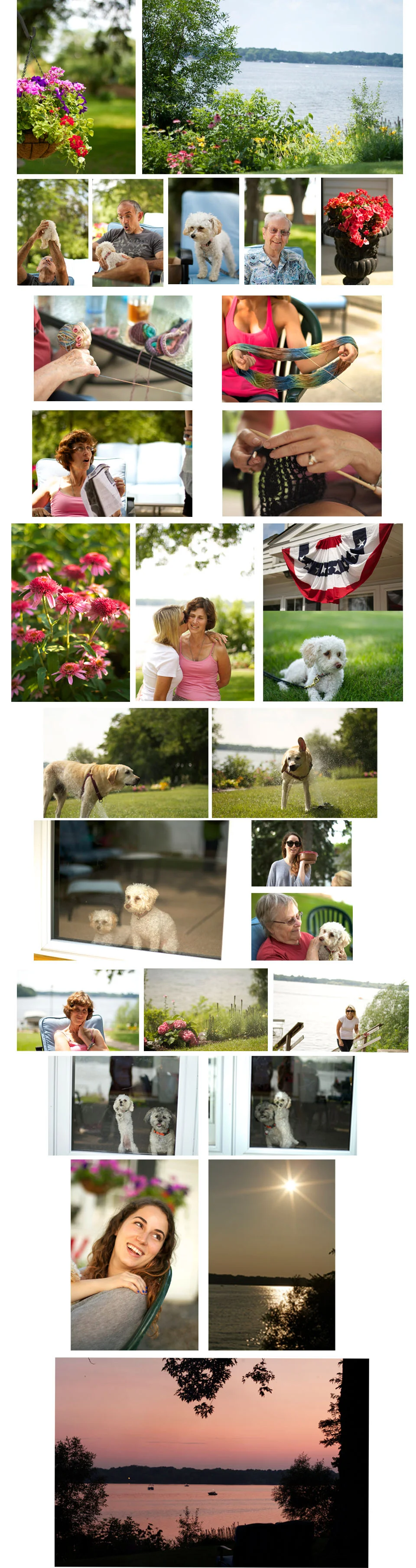 collage-july6-2_edited-1.jpg