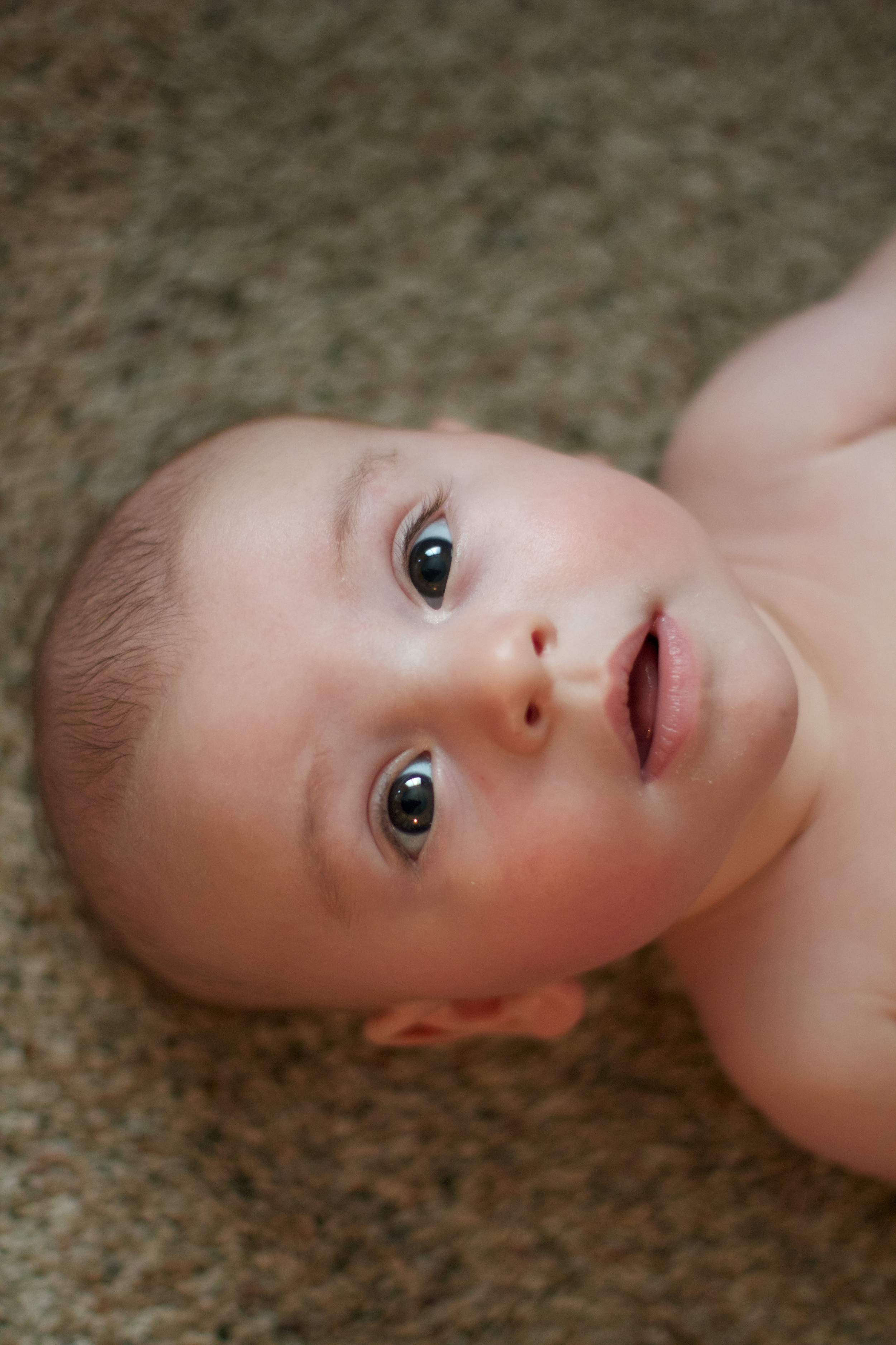 IMG_1727 - Version 2.jpg