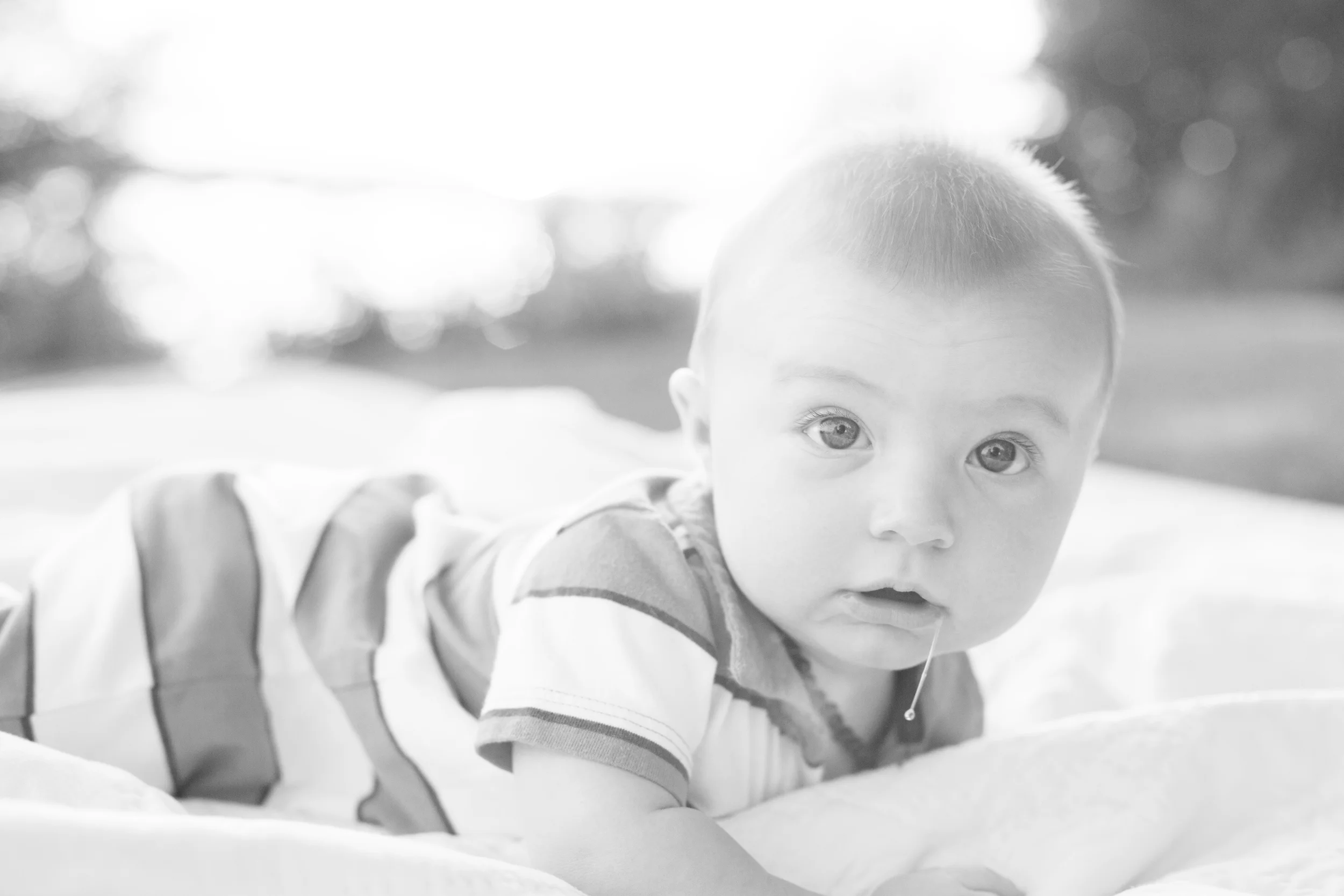 IMG_7702-2bw.jpg