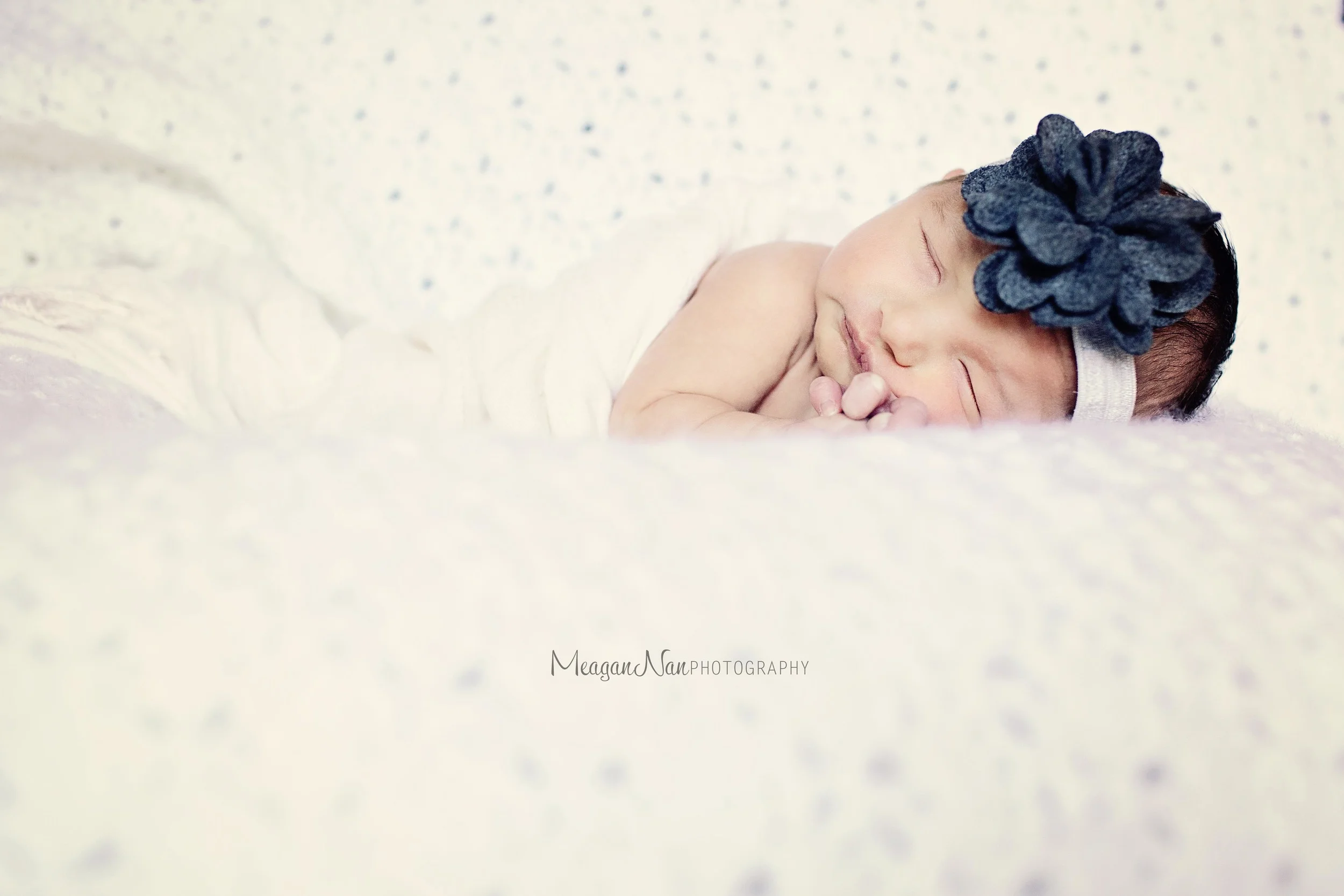 IMG_9503l.jpg