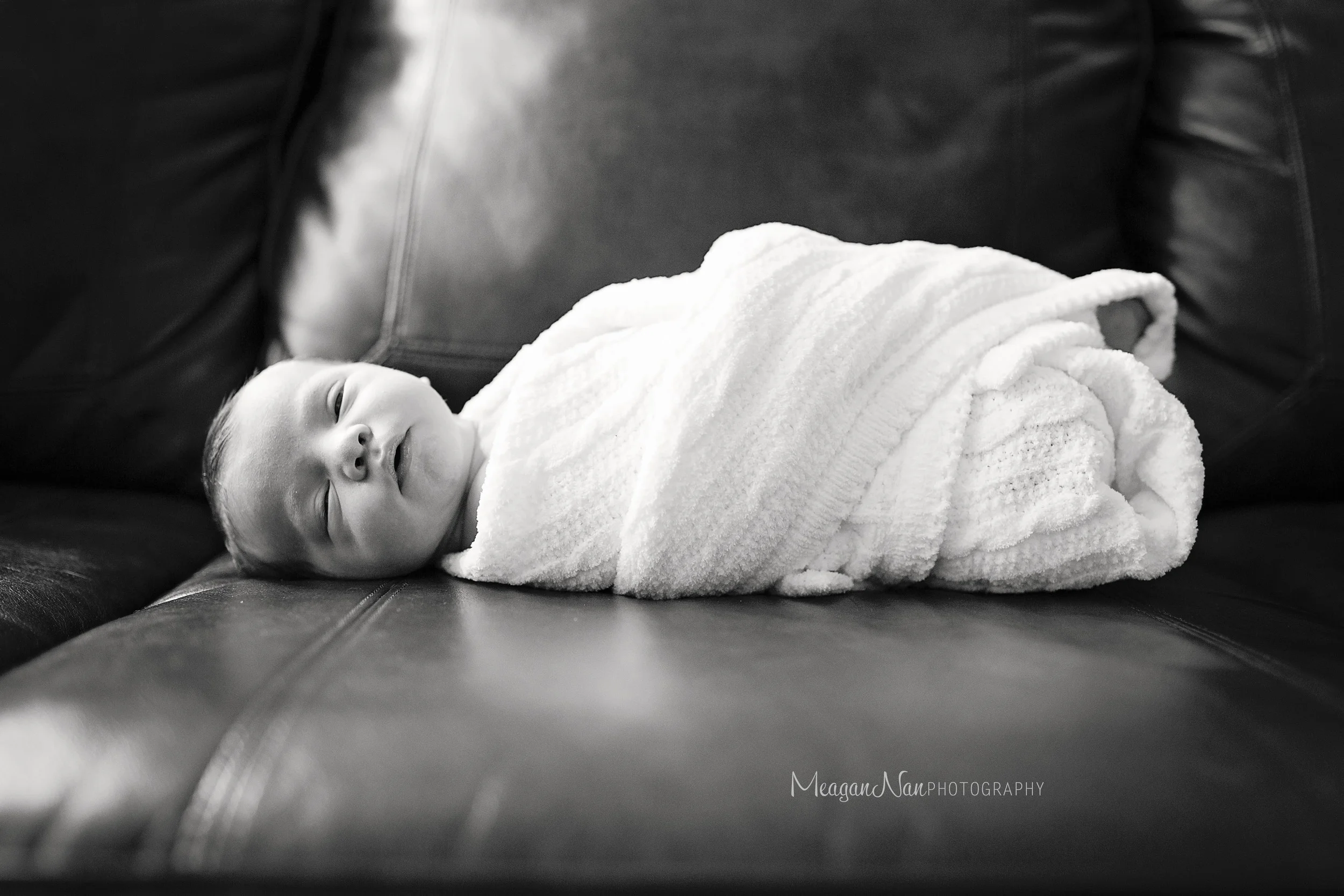 IMG_0482l.jpg