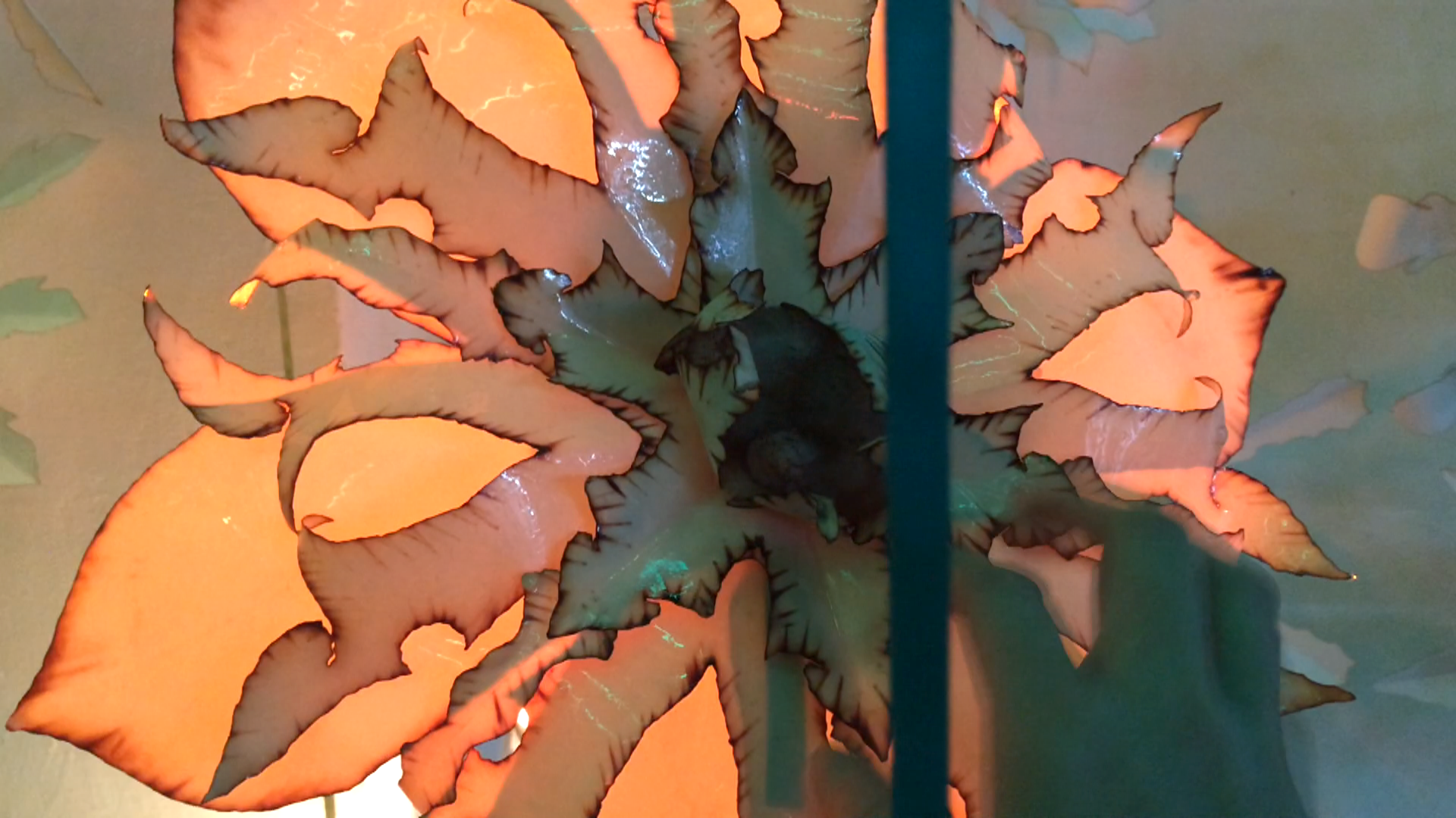 flower_2.png