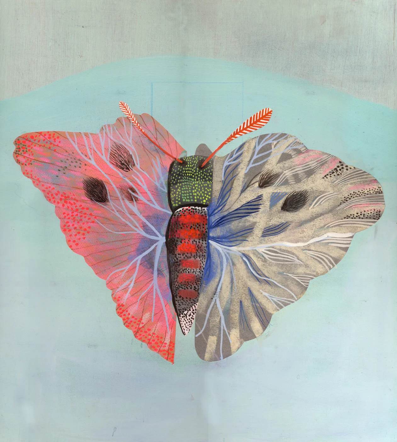 butterfly
