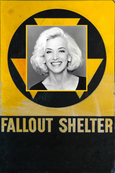 fallout-shelter-olivier-le-queinec.jpg
