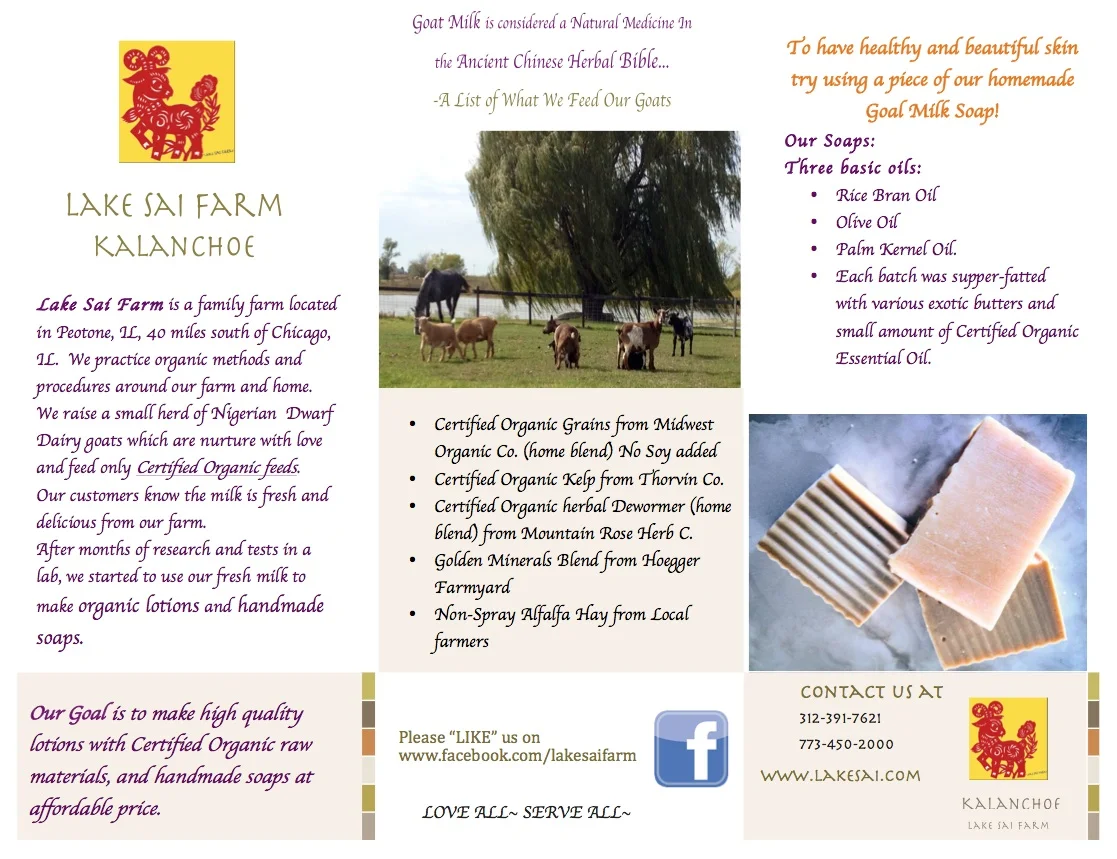 Brochure1.jpg