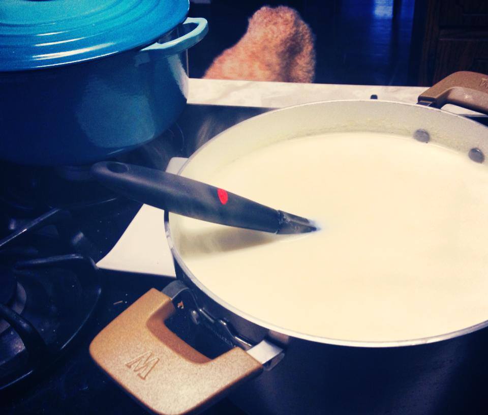 making cheese.jpg