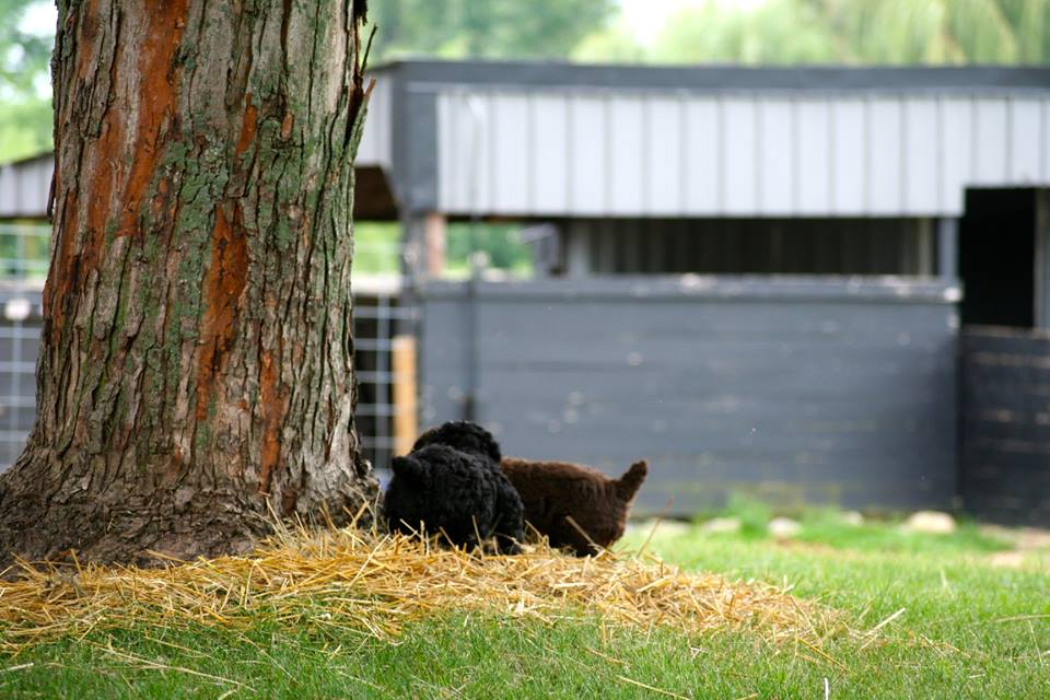 under tree.jpg