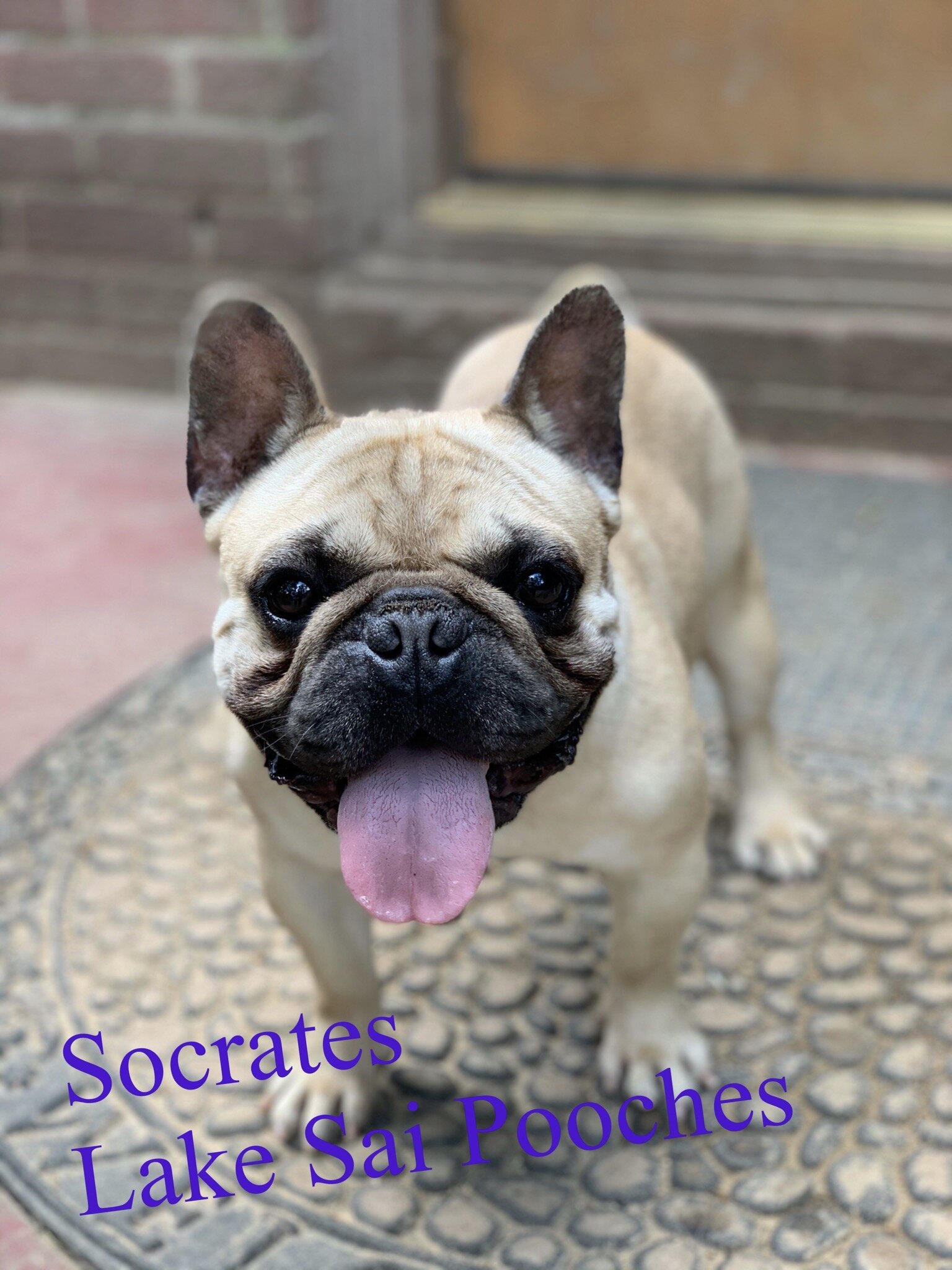 Socrates2.JPG